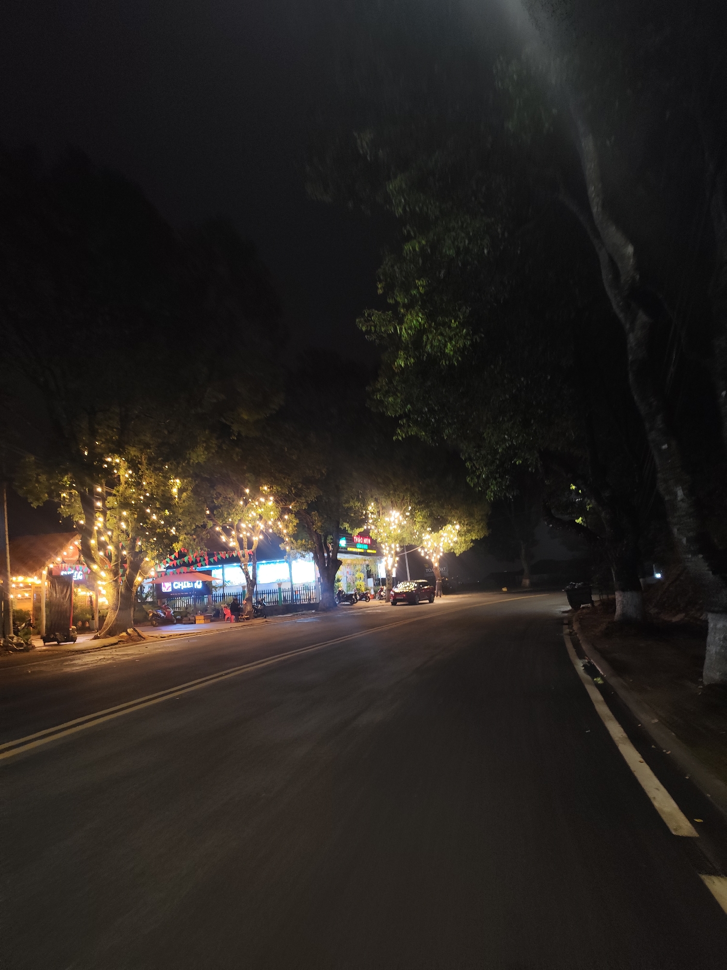 The image shows a dark, slightly curved road in Lâm Viên - Đà Lạt, Vietnam at night. Along the left side of the road, there are buildings and trees decorated with strings of lights. Several parked motorbikes can be seen near the buildings. The right side of the road is lined with trees, creating a dark and somewhat ominous feel. The road surface is dark asphalt. There are white lines marking the edge of the road. The overall lighting is dim, with the decorative lights being the most prominent light source. No people are clearly visible in the image.