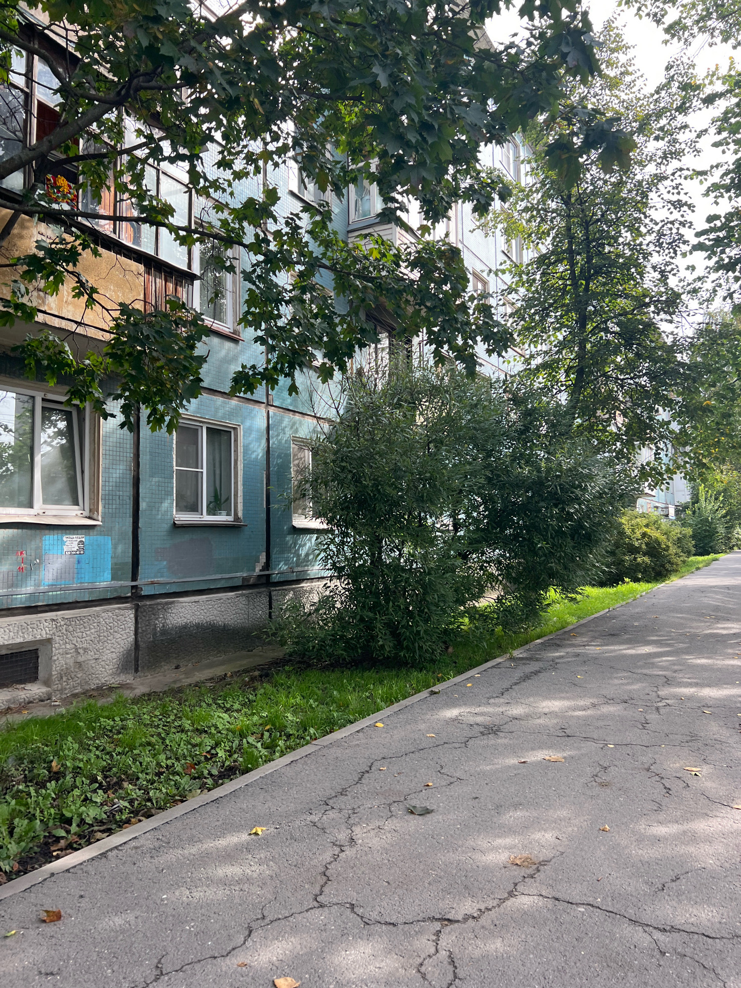 The image depicts an exterior view of a multi-story building with light blue tiled facade, partially obscured by overhanging trees with green leaves. A paved walkway runs alongside the building, bordered by a strip of green grass and dense bushes. The walkway surface is asphalt with visible cracks and scattered fallen leaves. The building has several windows, some with white frames and blinds, and a balcony with weathered railing. Below the windows, the lower part of the building is a textured concrete base. The environment suggests an urban setting, possibly a residential area, with a cloudy sky overhead. There are no people visible in the scene.