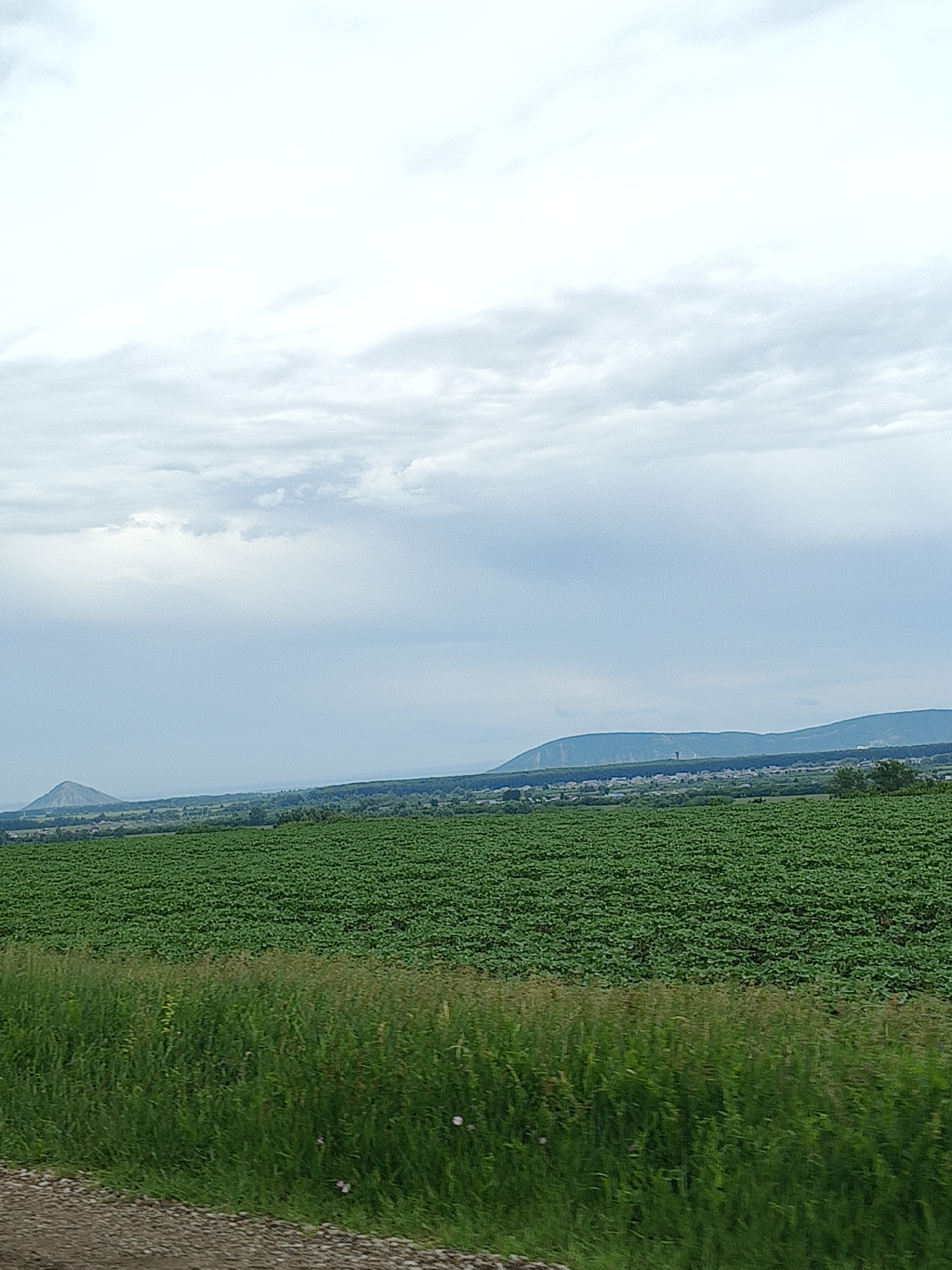 The image shows a wide, flat landscape under a cloudy sky. In the foreground, there is a gravel road bordering a field of tall green grass. Beyond the grass is a vast, neatly cultivated green field, likely agricultural. In the middle distance, there is a town or village nestled amongst trees, with hills and mountains forming the background. To the far left, a distinctive conical mountain rises above the horizon. The overall impression is one of rural tranquility.