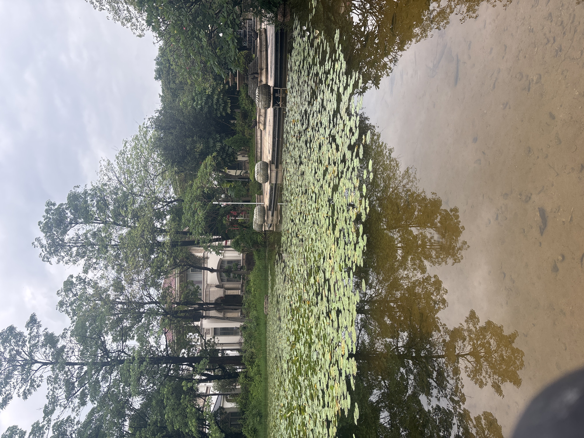 The image depicts a tranquil scene in a park-like setting within Nanhai District, China. In the foreground, a body of water is covered with numerous green lily pads. The water is shallow and clear enough to see the sandy bottom with scattered pebbles. The reflections of trees and the sky are visible on the water's surface.
In the mid-ground, a paved area with decorative urns and a tiered fountain structure is situated at the edge of the water. Beyond this, a grand white building with arched windows and a red-tiled roof stands amidst lush greenery. Tall trees with dense foliage surround the building and frame the scene. The sky is overcast, suggesting a cloudy day. There are no people visible in the image.