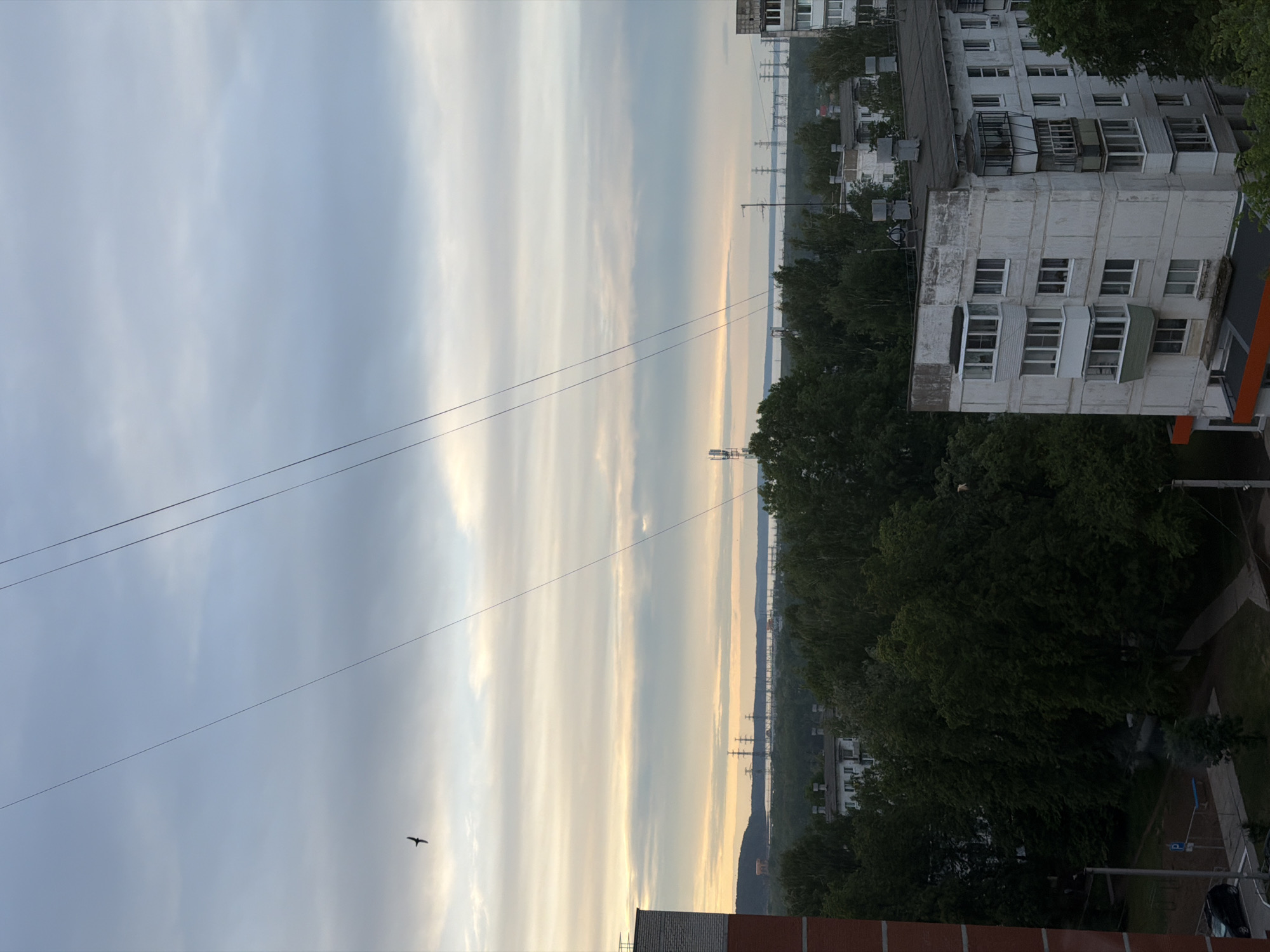 The image shows a view from an elevated position, possibly a balcony or high window, overlooking a cityscape near Chaikovsky, Russia. The sky is predominantly cloudy with lighter hues towards the horizon. A bird is visible in flight. Power lines stretch across the sky.
In the middle ground, trees and buildings are mixed. High-voltage power transmission towers appear faintly in the distance.
In the foreground, part of a white apartment building is visible on the right. Red brick is present in the lower part of the image, likely from a wall or the edge of a building.