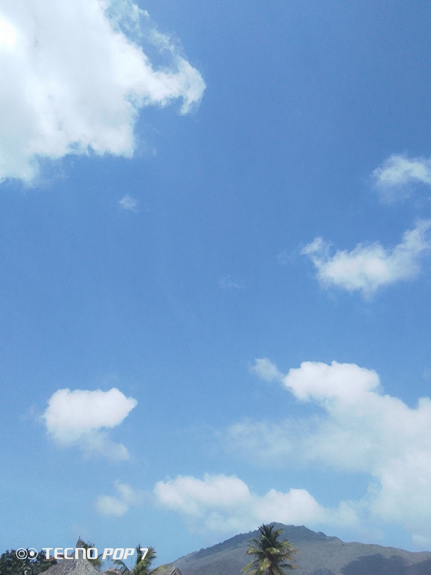 A clear blue sky with scattered white clouds dominates the upper portion of the image. The lower part features a mountainous landscape partially obscured by palm trees and other foliage. The location is Pedro González, Venezuela, as discerned from the presence of tropical vegetation and mountainous terrain typical of the region. No people are visible. A "Tecno Pop 7" watermark is present in the lower left corner of the image.