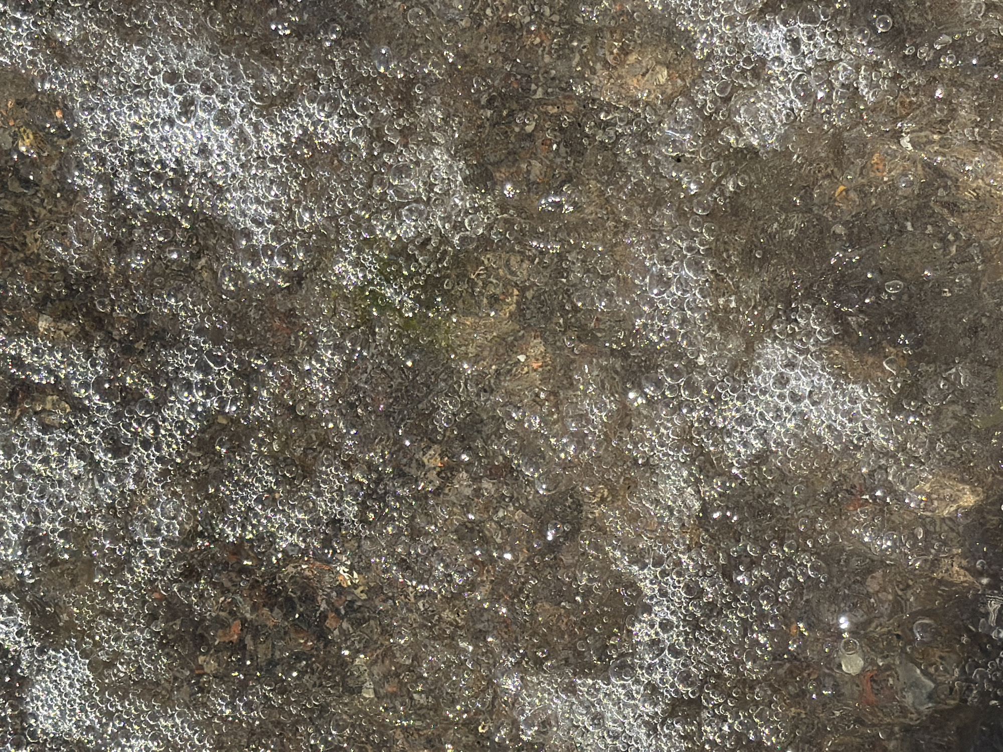 The image is an extreme close-up, top-down view of shallow, turbulent water flowing over a rocky, dark-brown, and grey substrate. The water surface is covered in numerous small, reflective bubbles, indicating aeration or rapid movement. Sunlight glints off the bubbles and the wet surfaces of the rocks, creating a shimmering, bright effect. There are no people or man-made objects visible. The scene is consistent with a shallow stream bed or a similar natural water feature. This image was taken in Tallinn, Estonia, likely in a park or natural area with a water source.