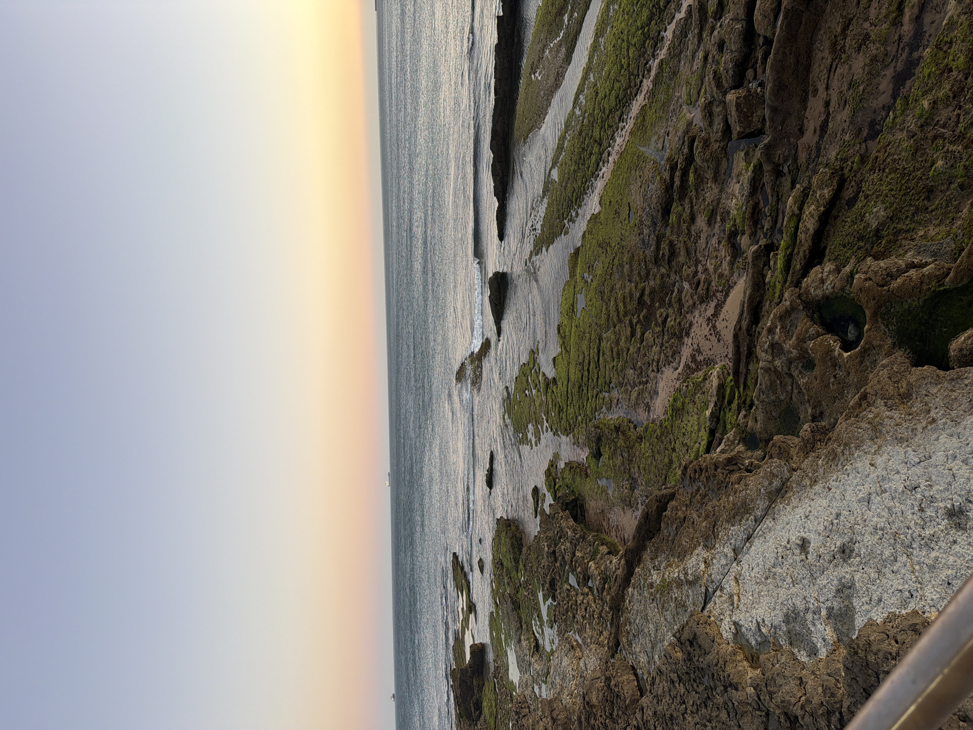 The image depicts a rocky coastline at low tide, likely in Cascais, Portugal, during the soft light of either sunrise or sunset. The foreground is dominated by rough, textured rocks covered in patches of green algae, with small pools of water reflecting the sky. The rocks are uneven and jagged, forming shallow channels that lead towards the sea. In the middle ground, the ocean stretches out, with gentle waves lapping against the submerged rocks. The water is a muted blue-green, showing some ripples and foam. In the distance, two cargo ships are visible on the horizon, appearing as small silhouettes against the sky. The sky itself displays a gradient of colors, transitioning from a pale blue at the top to soft hues of peach and yellow near the horizon, indicating either dawn or dusk. A metal railing is partially visible in the lower left corner, suggesting a man-made viewpoint or walkway. The overall impression is one of natural coastal beauty under a serene sky.