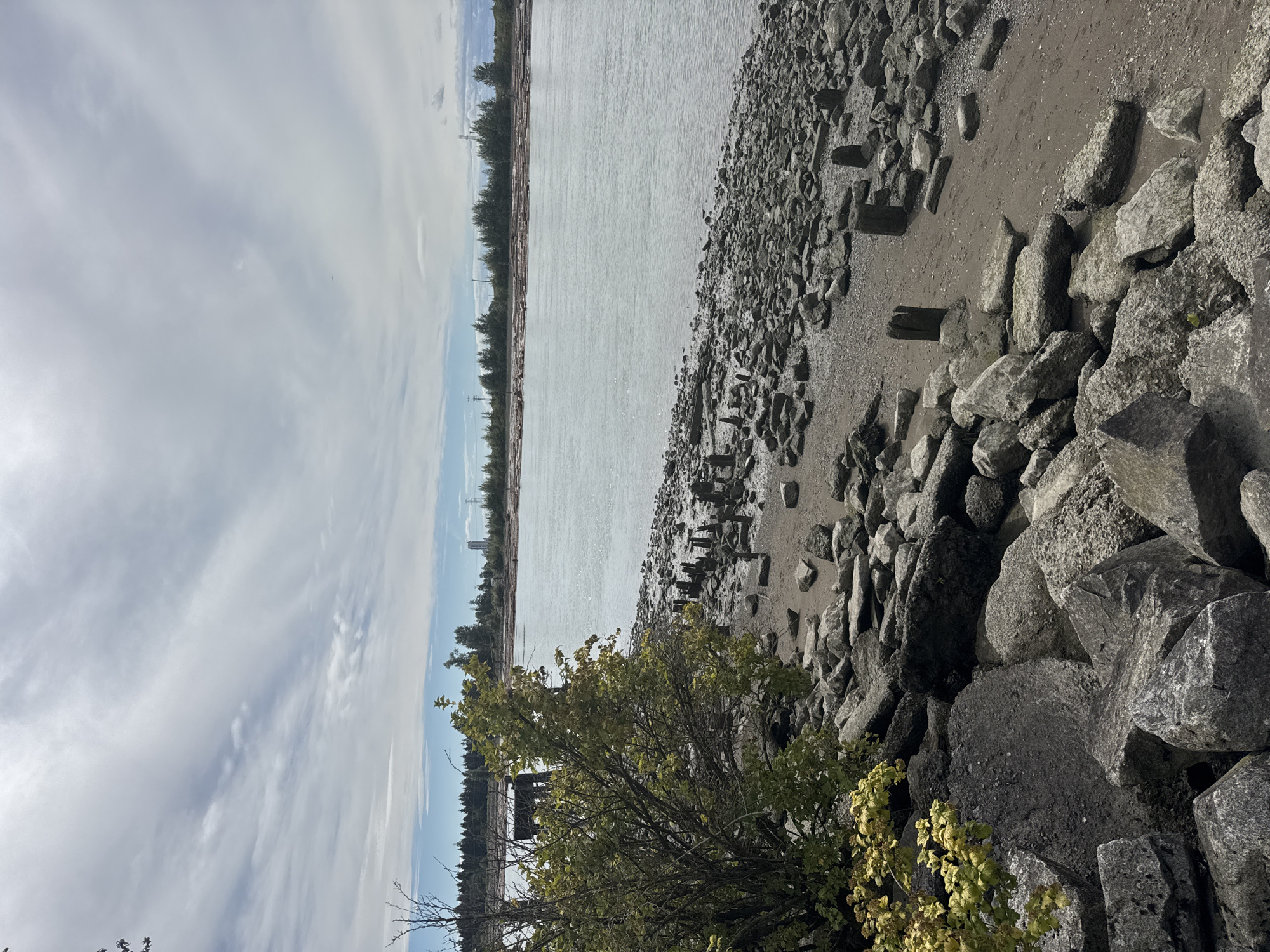This image depicts a wide, calm body of water, likely a river or inlet, under a partly cloudy sky. The foreground is a rocky shoreline with scattered wooden posts, remnants of a pier or dock. A leafy green bush with some yellowing foliage is prominent on the left side of the frame, interspersed with large grey rocks. In the distance, a treeline borders the far bank of the water, with some industrial or urban structures visible beyond the trees, including what appear to be power lines and tall buildings. The scene suggests a natural setting with historical industrial elements. This location is identified as the Fraser River foreshore in Burnaby, Canada, specifically near the Boundary Bay area which is known for its industrial waterfront. There are no people or animals visible in the image.