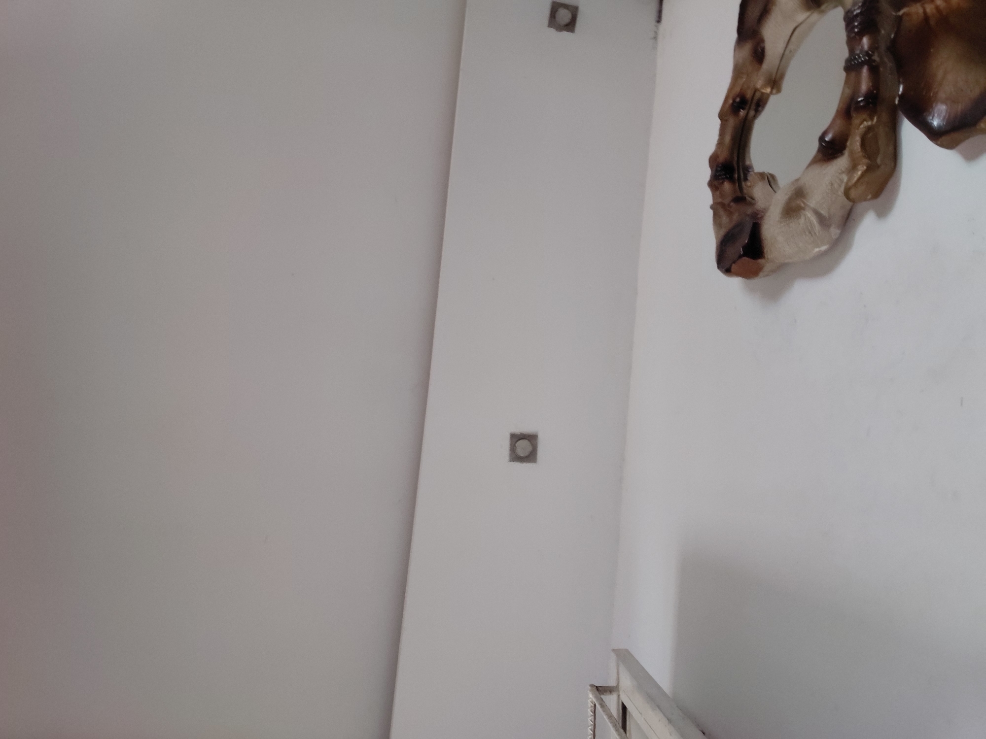 The image captures an indoor scene, likely a hallway or stairwell, characterized by plain white walls. On the left side, a tall, narrow, white rectangular panel or door is visible, featuring two square, recessed light fixtures or electrical sockets, one near the top and one towards the middle.
To the right, mounted on a white wall, is a distinctive decorative object. This object appears to be crafted from a light brown, bone-like or carved wood material, resembling a stylized animal head, antlers, or a part of a mirror frame with an organic, natural aesthetic. Its texture suggests a somewhat rough or weathered finish.
At the bottom right corner of the image, a section of a light-colored metal railing or banister is visible, suggesting the presence of a staircase or an elevated walkway. The lighting in the scene appears to be even, possibly from artificial sources, as indicated by the fixtures.
No people are present, and no specific activity is taking place. The scene is static, focusing on the architectural elements and interior decor. There is no visible text. The overall impression is one of a clean, minimalist interior space in Santa Ana, Venezuela.