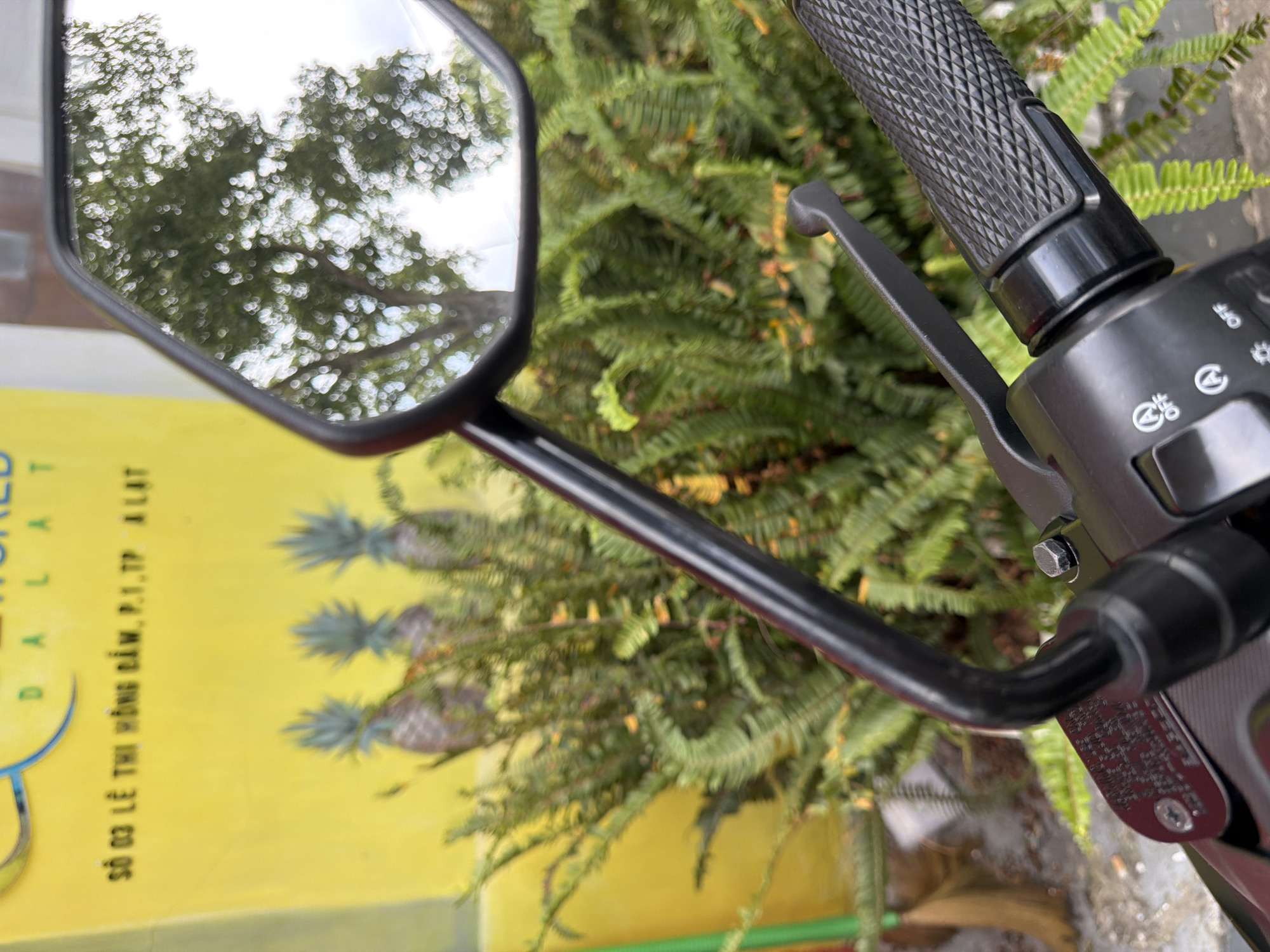 The image shows a close-up view of a motorcycle's handlebar and rearview mirror, with a yellow sign in the background. The sign has text that appears to be in Vietnamese and includes the words "DALAT" and "SO 03 LE THI HONG BAM, P.1, TP. ALAT," indicating a location in Dalat, Vietnam. In the background, there are also three pineapples and lush green ferns. The rearview mirror reflects a tree with a leafy canopy and a bright sky, suggesting an outdoor setting. The focus is on the motorcycle's controls, including the throttle grip, brake lever, and part of the control panel with symbols and the word "OFF." The scene is well-lit, suggesting it was taken during the day.