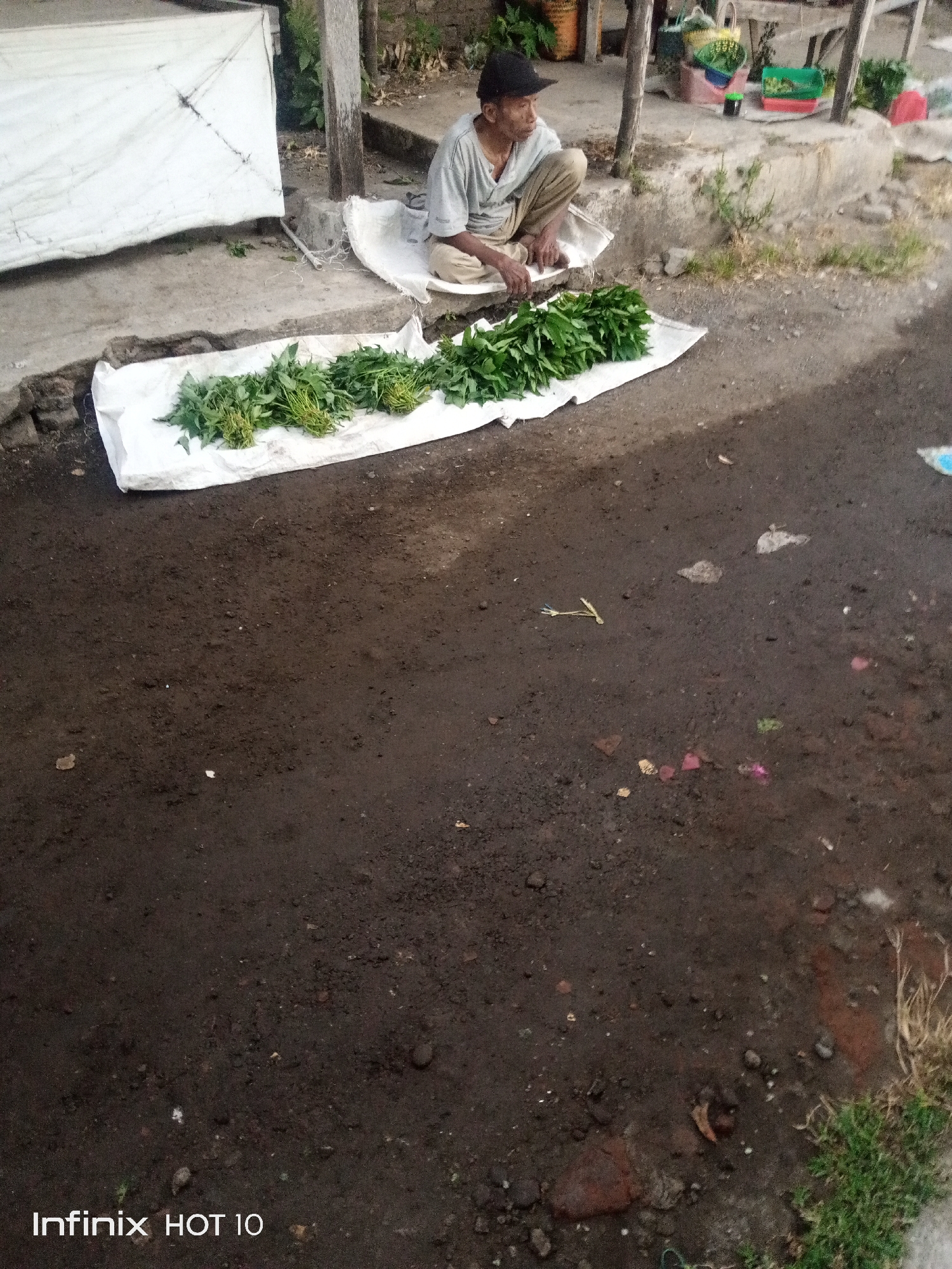An elderly man wearing a grey t-shirt and a dark cap sits cross-legged on a white tarp. In front of him are piles of green leafy vegetables arranged on a white tarp. The scene appears to be outdoors, possibly at a market, with dirt and pavement visible. Behind the man, there is a concrete structure and some vegetation. The background suggests a somewhat rural or informal setting.