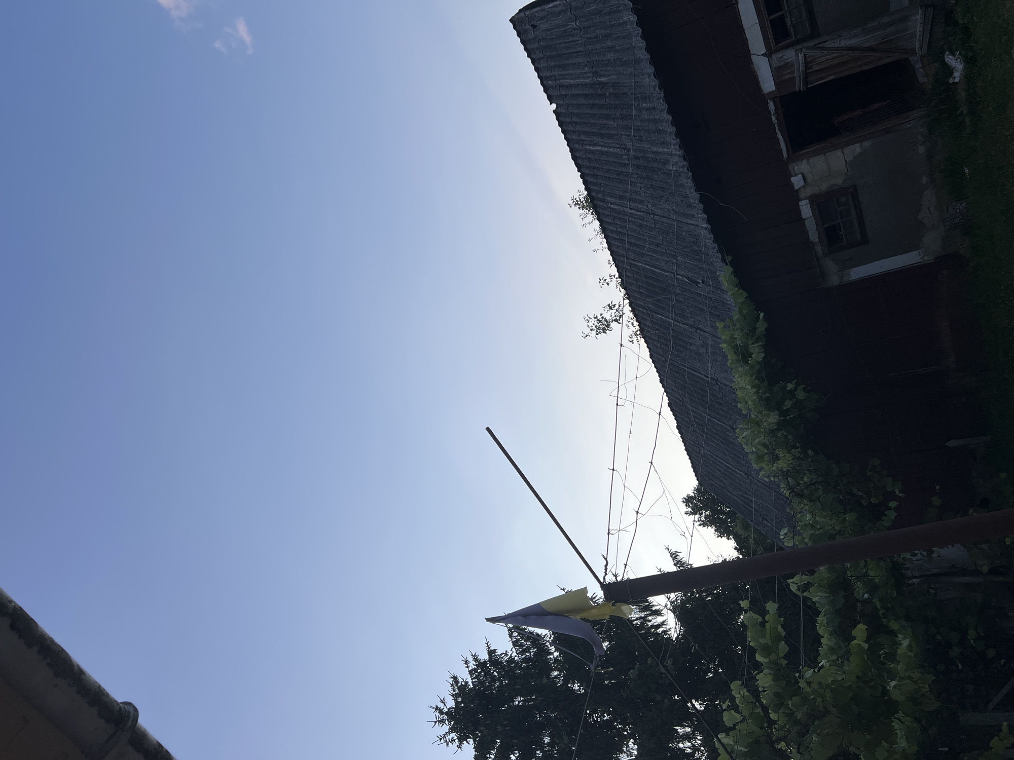 The image depicts a rustic outdoor scene under a pale blue sky. In the foreground, a weathered brown pole stands vertically, supporting a tattered Ukrainian flag that flutters slightly. The flag is attached to a thin, horizontal pole extending from the vertical one. To the left of the pole is a dark green conifer tree. Behind the flag and tree, a dark-colored, corrugated roof of a building is visible, extending diagonally across the frame. The building itself appears to be made of dark wood and has an open doorway and a window. Green foliage, possibly from a grapevine, cascades down from the roofline. In the distance, other trees can be seen. The overall impression is of a rural or semi-rural setting, possibly a backyard or the outskirts of a property. The lighting suggests either early morning or late evening.