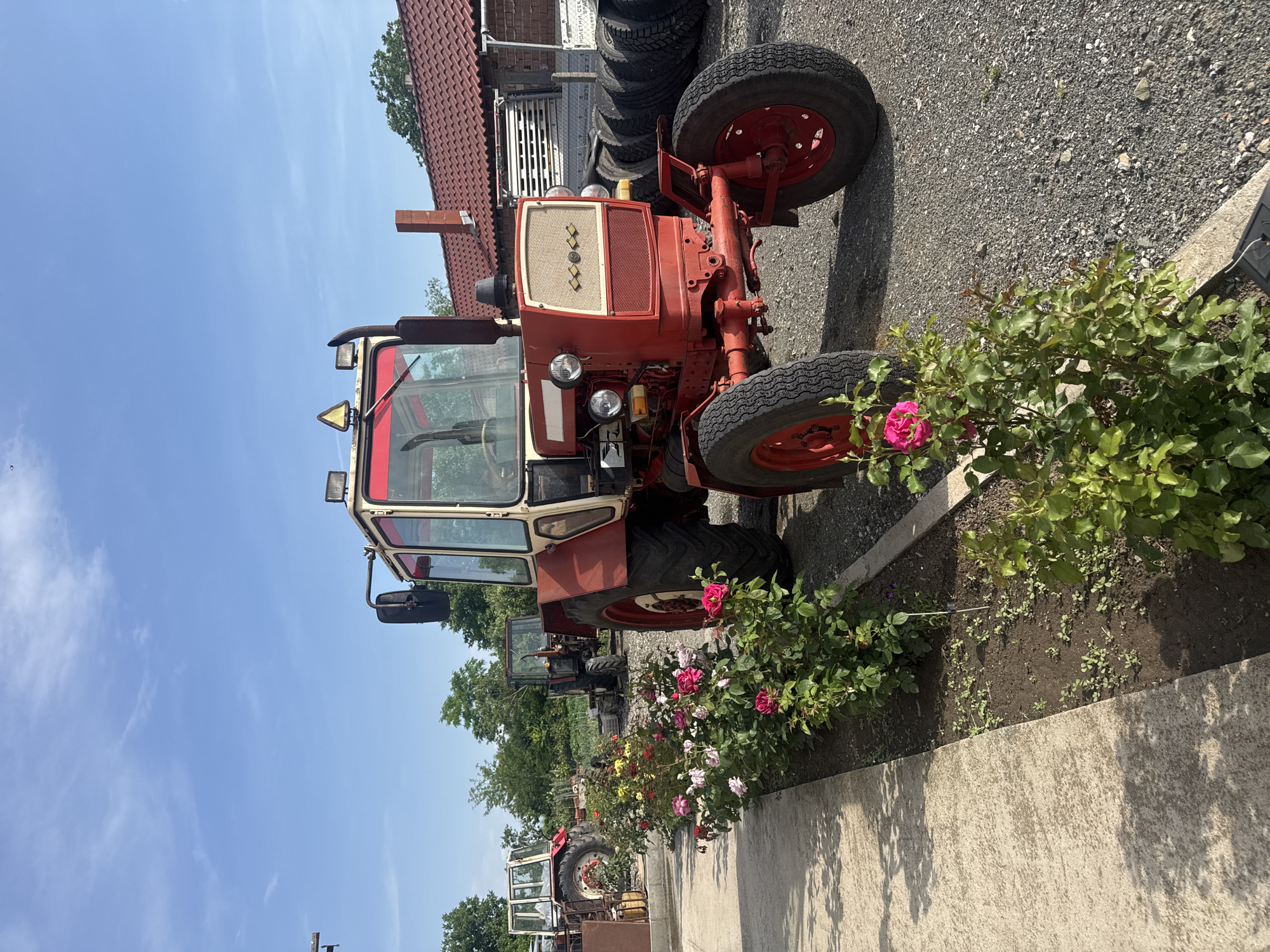 The image shows a red and beige tractor parked next to a rose bush in Sarnevo, Bulgaria. The ground is covered in gravel. Several other tractors are visible in the background. The sky is blue and clear. A building with a red tile roof and a stack of tires behind it is in the background.
