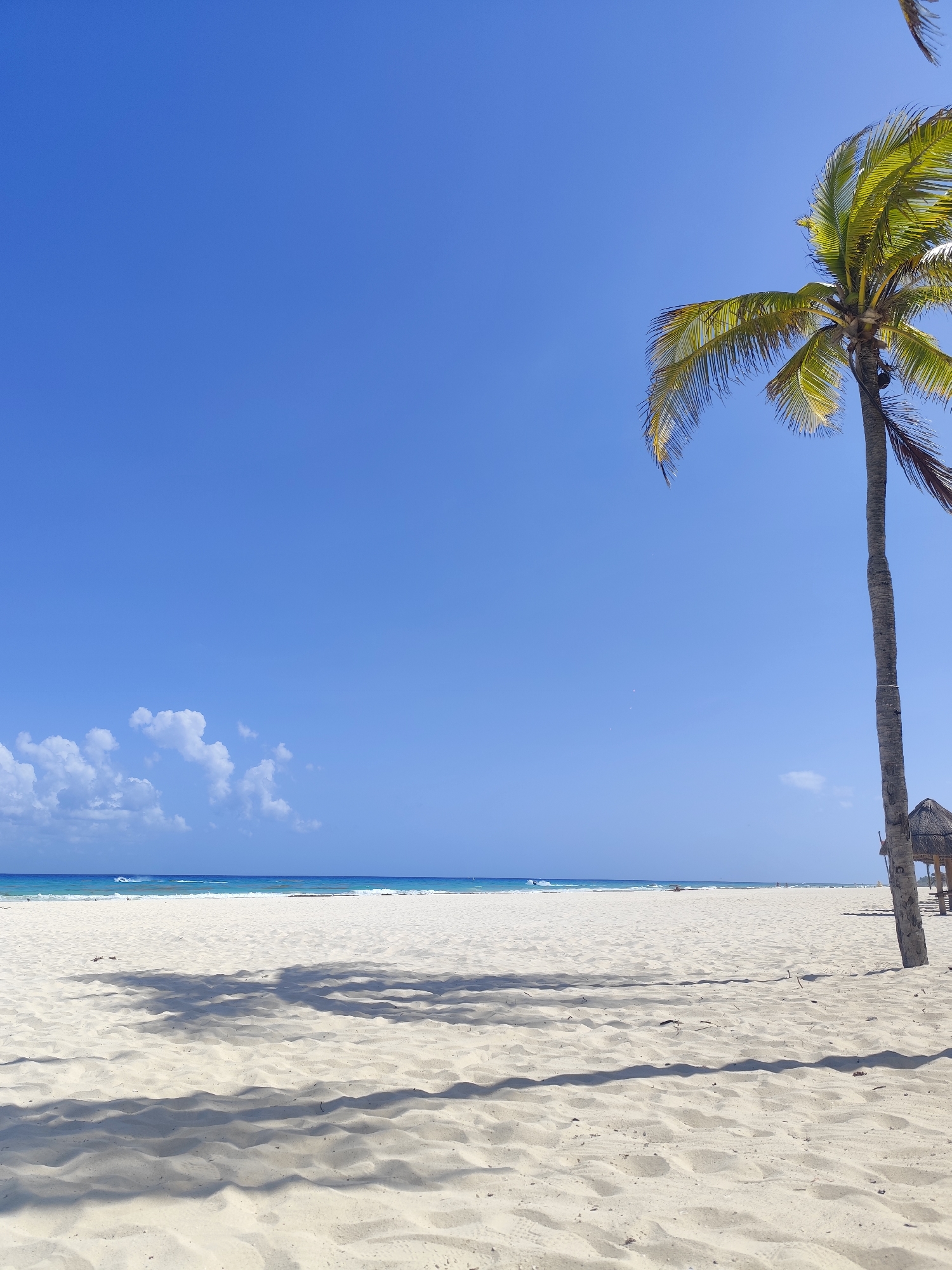 This is an exterior shot of a beach in Playa del Carmen, Mexico, taken during daylight hours. The scene is dominated by a clear, cloudless blue sky covering the majority of the upper half of the frame. Below, a flat, sandy beach stretches out, with a narrow strip of turquoise sea visible in the distance, partially obscured by a few small, scattered clouds.
On the right side of the image, a tall palm tree is prominently featured, extending from the bottom to nearly the top of the frame. To the right of the palm tree, a small, thatched-roof structure is partially visible. The sand in the foreground shows shadows of the palm tree. No people are visible in the shot. The scene conveys a sense of tranquility and openness.