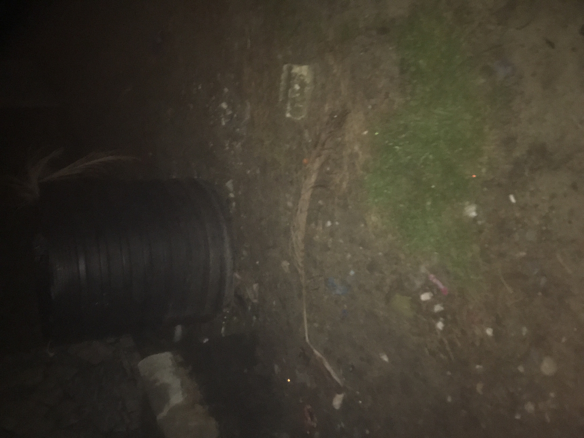 The image shows a dark, outdoor scene. A large, black, ribbed pipe is prominent on the left side of the frame, extending horizontally. The ground around the pipe is rough and uneven, covered in dirt, debris, and some sparse, patchy green vegetation. Several thin, dry plant stems or fronds are visible, particularly near the top of the pipe and extending across the ground.
In the middle ground, on the right side of the frame, there is a patch of somewhat greener grass. Scattered across the ground are small specks of white and some larger pieces of debris, including what appears to be a small, rectangular object with some faint markings or texture, possibly a piece of paper or packaging. A few small, reddish-orange or yellow specks, possibly lights or reflections, are visible on the ground, particularly in the middle and lower right portions of the image.
The lighting suggests it is either nighttime or a very dimly lit area. There are no people visible in the image. The overall impression is of an unkempt outdoor area, possibly near a drainage or utility installation, with a sense of disarray due to the scattered debris. No specific weather conditions are discernible, but the general darkness points to low light. No text is clearly visible.