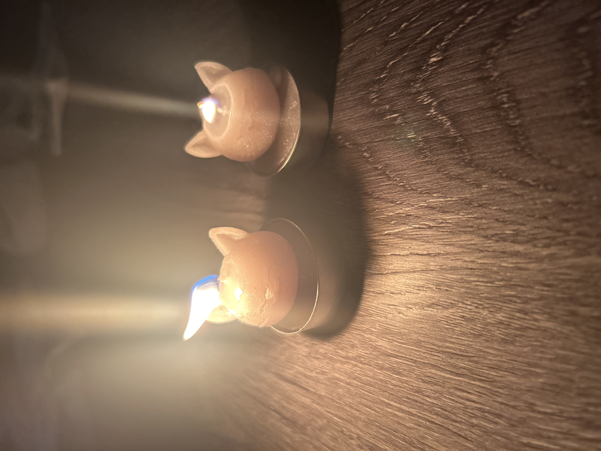 Two cat-shaped candles are lit on a wood-grain surface. They are contained within small, round, metal holders. The candle flames are visible. Light from the candles casts a glow across the surface. The scene does not obviously indicate a location in Câmara de Lobos, Portugal, or the presence of any people.