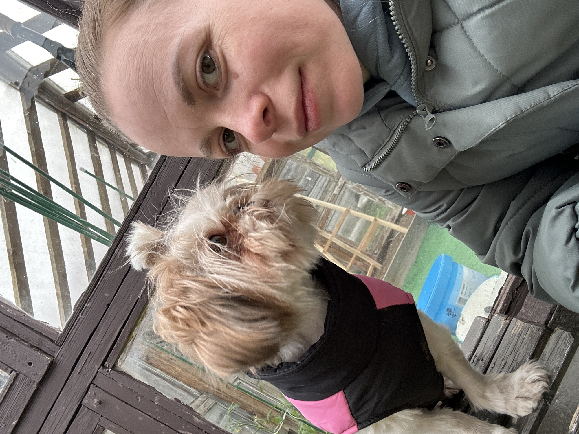 A woman with light skin and brown eyes wearing a gray quilted jacket is taking a selfie with a small dog. The dog is wearing a black and pink jacket. They are both sitting on a wooden bench near a window with a view of an outdoor area containing a small blue container. The location appears to be a greenhouse in Meshchovsk, Russia.
