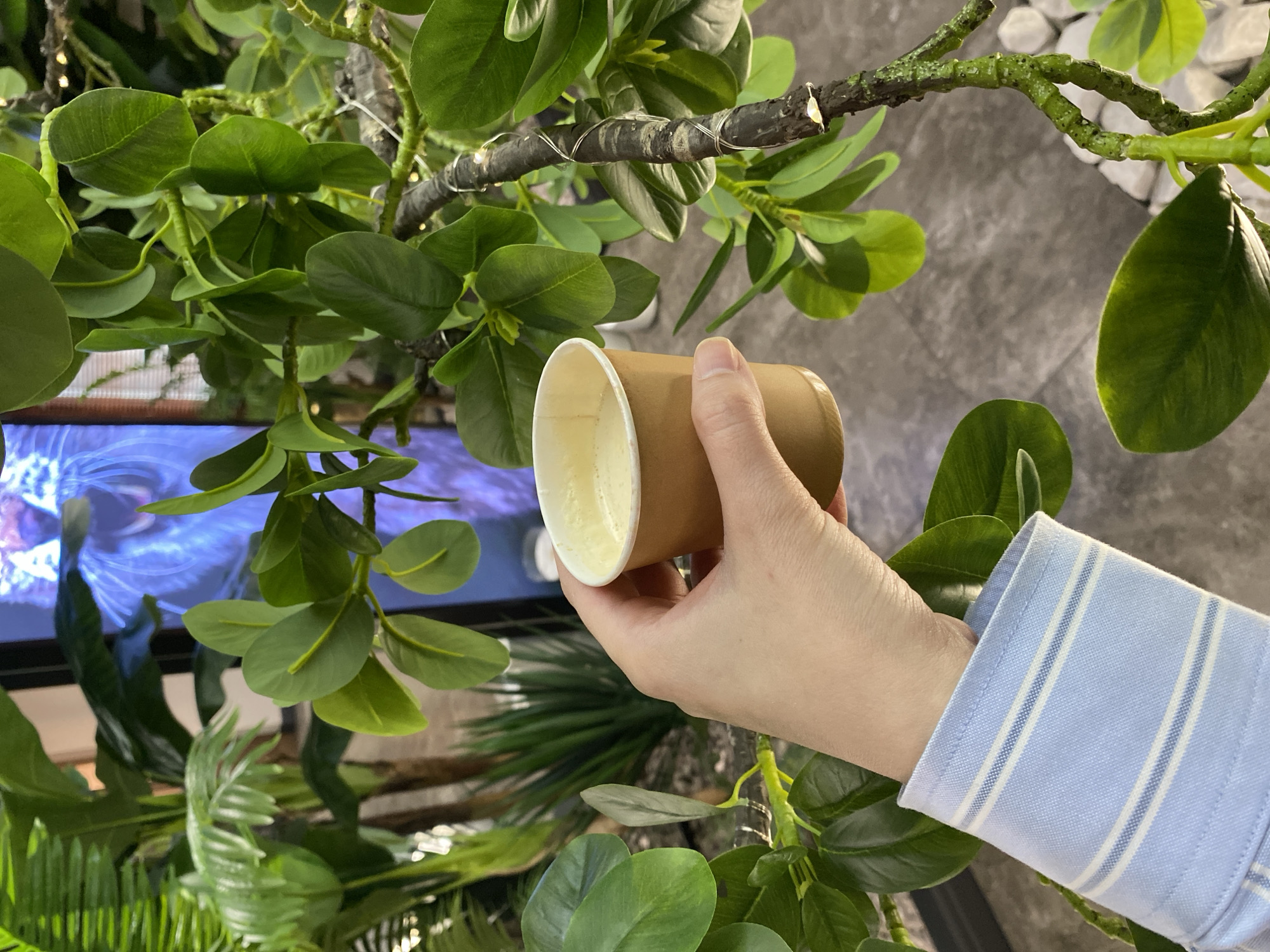 A close-up shot captures a person's hand holding a light brown, possibly kraft, paper cup with a white interior, filled with a creamy, light-colored beverage. The person's wrist, adorned with a light blue and white striped shirt cuff, is visible.
The scene is an indoor setting, heavily decorated with lush green artificial foliage, creating a vibrant, naturalistic atmosphere. The plants feature both broad, rounded leaves and finer, spiky textures. Some of the artificial branches are entwined with delicate string lights, suggesting a cozy or decorative ambiance. In the background, a screen or display unit exhibits a blurred image in shades of blue and white, possibly an abstract pattern or an illuminated animal print. The floor or background surface appears to be a textured grey material, such as concrete or large tiles, complementing the modern aesthetic.
The activity taking place is simply holding a beverage in a disposable cup. The time of day is not explicitly indicated, but the indoor lighting suggests it could be any time. No specific emotions are discernible from the visible hand. The overall impression is that of a contemporary commercial or public space, such as a cafe, lounge, or waiting area in Votkinsk, Russia, where natural elements are incorporated into the decor. There is no visible text in the image.