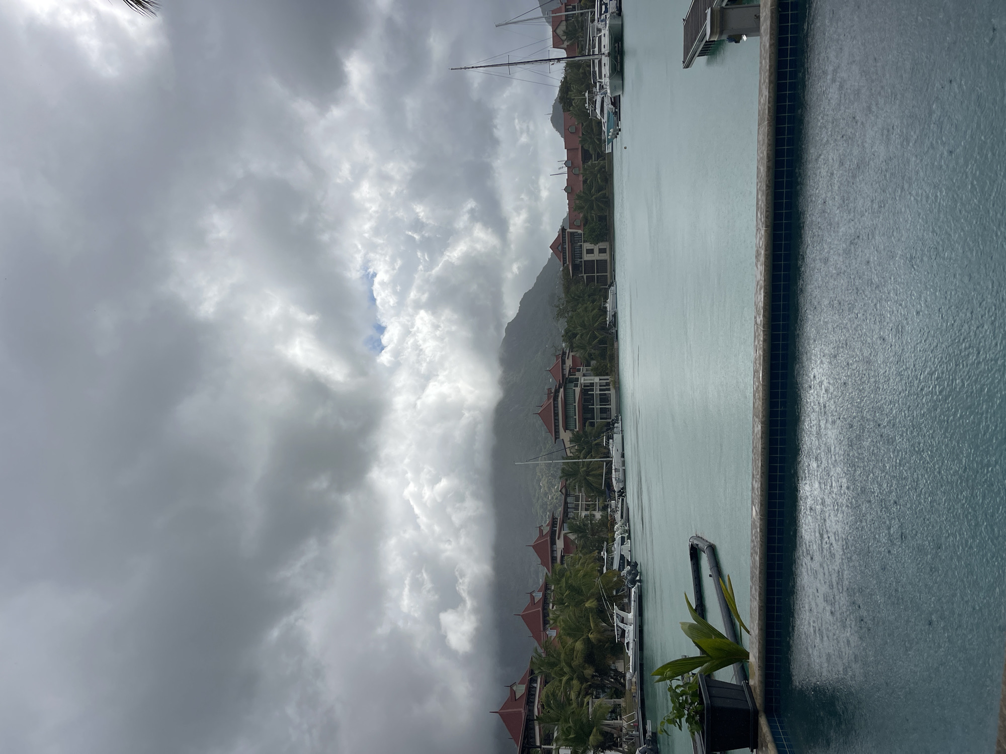 This image depicts a cloudy, overcast day at a marina in Providence, Seychelles. In the foreground, a swimming pool with rippling water is visible, with a potted plant to the left. Beyond the pool, a body of water stretches out, dotted with several white boats and yachts. Along the shoreline, a row of buildings with red-tiled roofs and palm trees are present. In the background, a large, misty mountain range dominates the horizon, shrouded in clouds. The water appears choppy, suggesting windy conditions or rainfall.