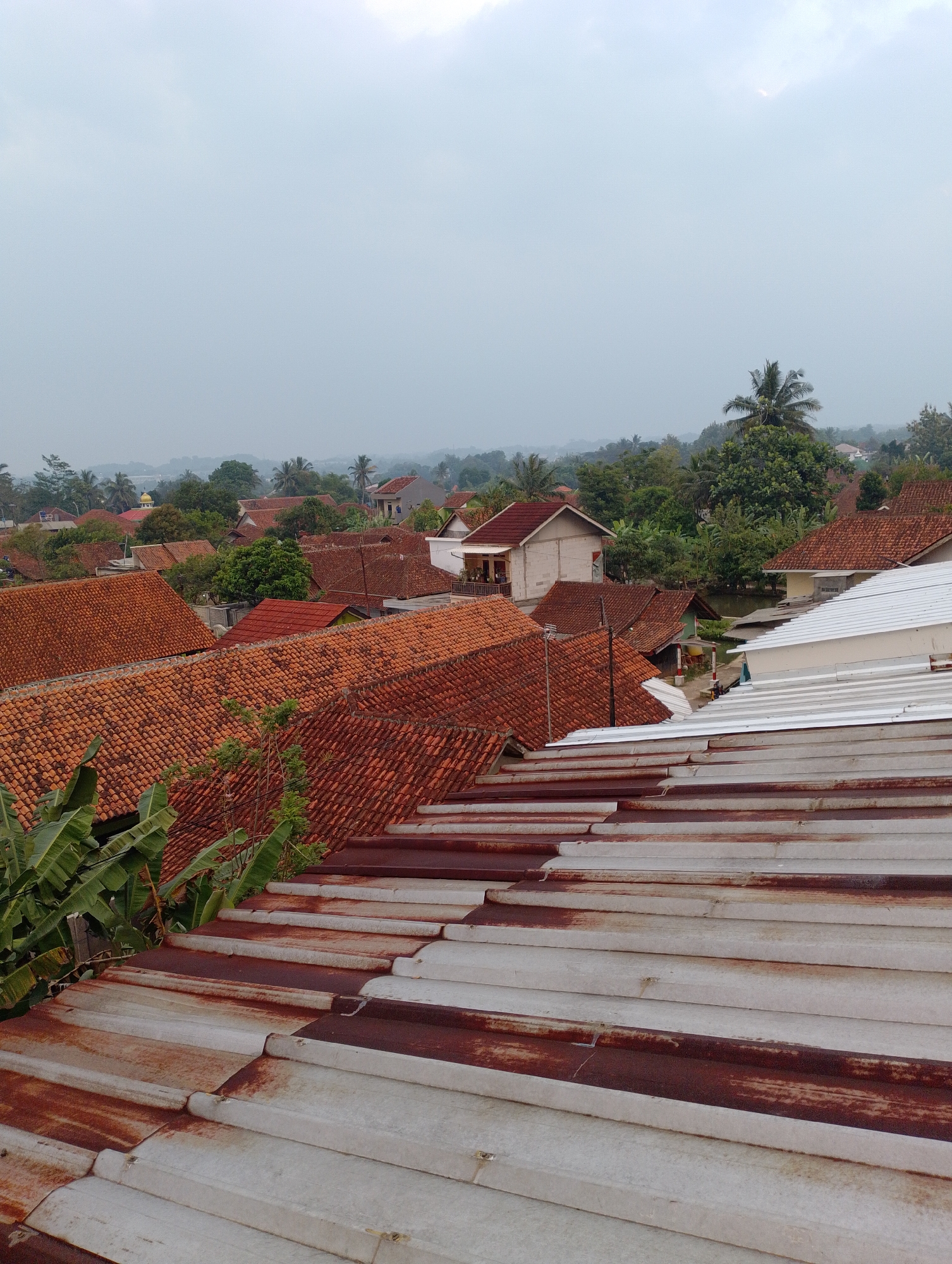 The image captures a view of rooftops in Sukamanah, Indonesia. In the foreground, weathered corrugated metal roofing, showing signs of rust, extends into the frame. Beyond this, a dense expanse of reddish-orange clay tile roofs covers numerous houses. Several banana trees with large green leaves are visible in the mid-ground to the left, partially obscuring some of the tiled roofs. Further back, the landscape is dotted with more homes, interspersed with lush green trees and vegetation. A yellow dome, possibly belonging to a mosque, is visible in the distance amongst the trees. The sky is overcast with a pale, diffused light, suggesting a cloudy day. The overall scene depicts a residential area with traditional architecture and abundant tropical foliage.