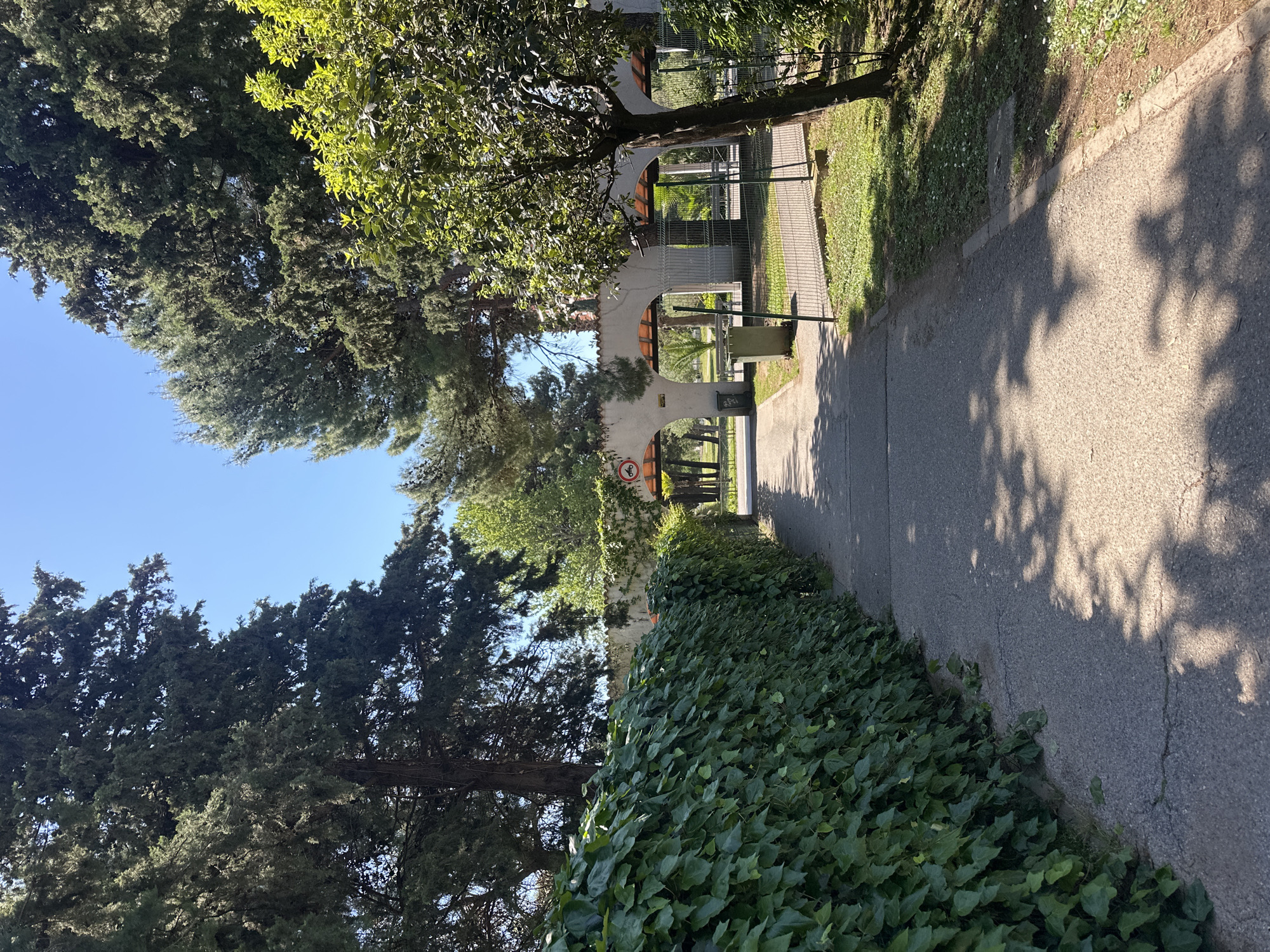 The image captures a bright, sunny outdoor scene in Budva, Montenegro, depicting a paved path or road extending into the distance, flanked by lush greenery and architectural elements.
On the left side, towering evergreen trees, possibly cypresses, dominate the frame, their dark green foliage contrasting with a clear, vivid blue sky. Beneath these trees, a dense hedge of dark green, ivy-like foliage forms a continuous band along the ground.
In the mid-ground, a distinctive white structure with multiple arched openings is visible, suggesting an entrance to a property or a feature of a building. Through these arches, further greenery and trees can be discerned. A metal fence runs parallel to the path, bordering a grassy area. A dark green waste bin is placed near the arched structure. A notable detail is a red and white circular road sign, clearly displaying a "no motor vehicles" symbol (a car and motorcycle crossed out), affixed to a pole near the archway.
The right side of the image features the paved path, which is partially illuminated by sunlight and partially covered in intricate shadows cast by overhead trees, creating a dappled effect. A strip of sunlit grass, dotted with small white flowers, runs alongside the path, separated by a concrete curb.
The bright lighting and distinct shadows indicate a clear day, likely during morning or late afternoon. The overall setting suggests a tranquil and verdant environment, possibly a park, a private estate, or a quiet street with a Mediterranean character. No human activity or specific event is taking place; the scene conveys a sense of calm and natural beauty.
