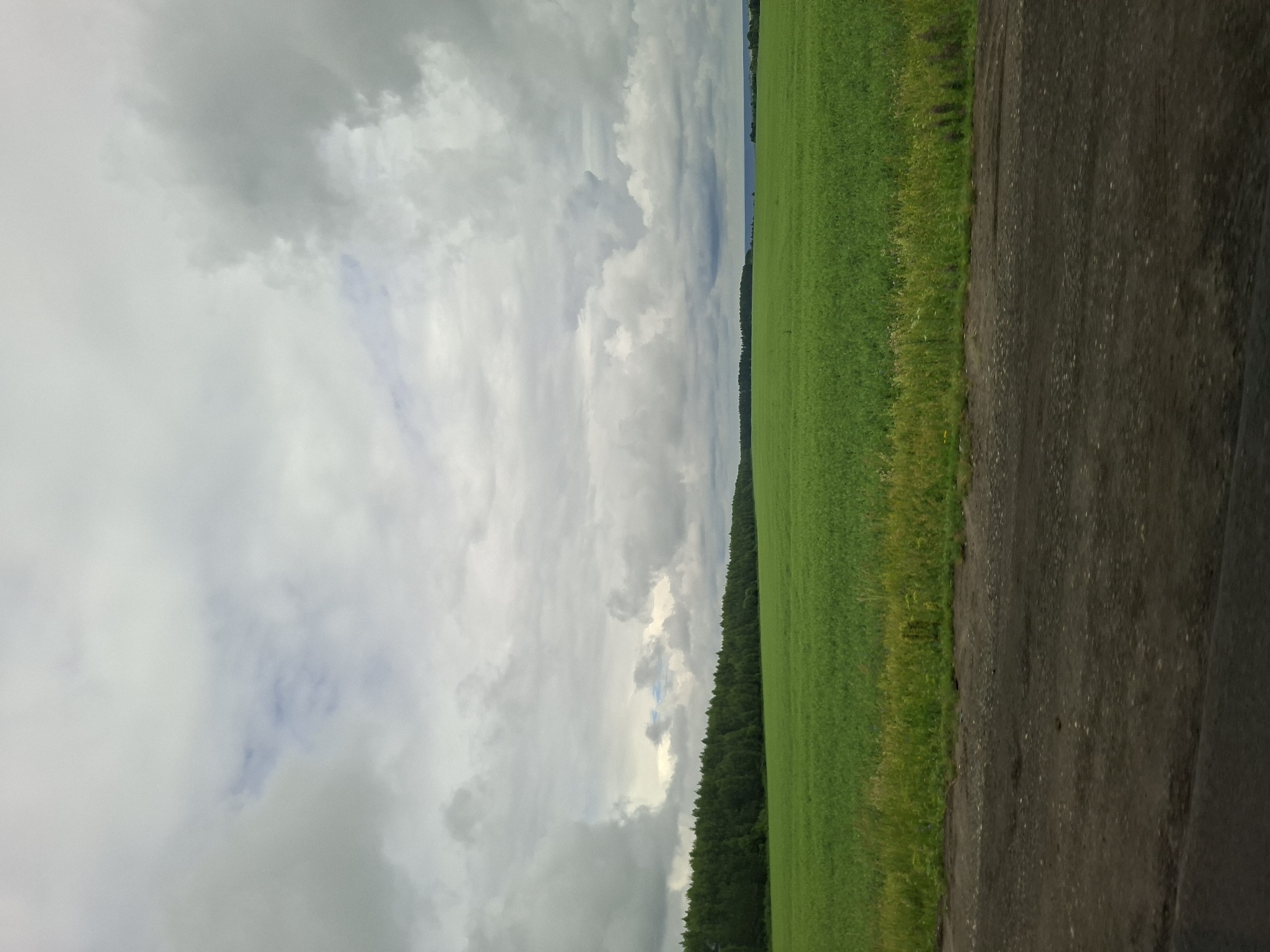 The image depicts a vast green field under a dramatic, cloudy sky. The field is lush and appears to be cultivated, stretching towards a dense line of dark green trees in the distance that forms the horizon. The sky is filled with heavy, grey clouds, with some breaks allowing patches of lighter sky to show through. In the foreground, a rough, dark surface, possibly a dirt road or unpaved ground, occupies the bottom portion of the image. The scene is devoid of any people, animals, or man-made structures, emphasizing the natural landscape. The location is identified as Vorob'evka, Russia, suggesting a rural or semi-rural setting.