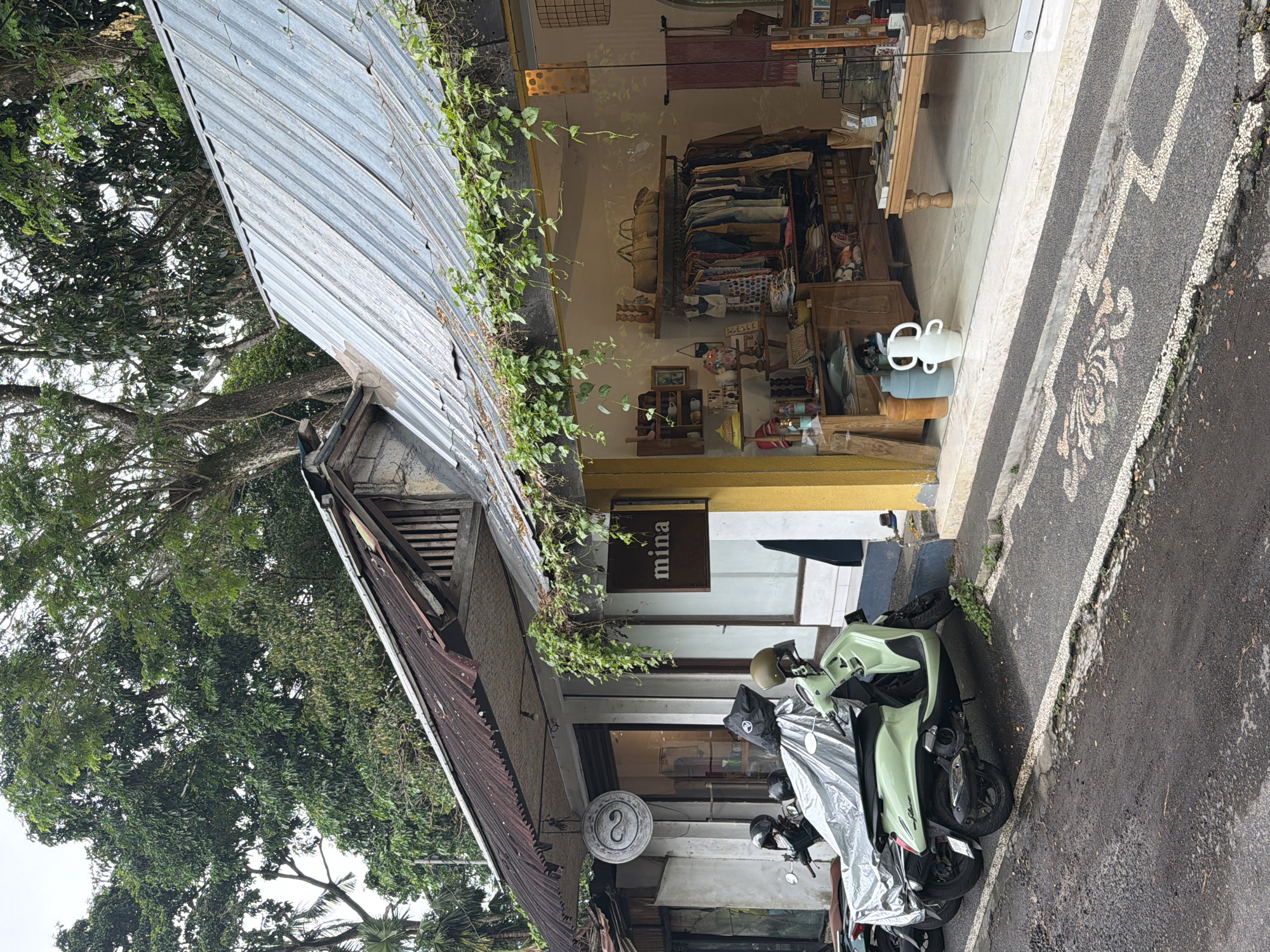 This image captures a serene daytime street scene, likely in the Ubud District, Indonesia, under diffused or overcast lighting conditions. The asphalt road and paved areas appear damp, possibly from recent rain or humidity.
The central focus includes a storefront on the right and a traditional building with a corrugated metal roof on the left. The shop features a large glass display window revealing an interior filled with various retail items, including clothing on racks, baskets, and small decorative objects on shelves, suggesting a boutique or craft store. Above the shop's entrance, a brown rectangular sign displays the word "mina" in white text. Below the shop window, a circular white sign with a stylized 'S' symbol is visible.
In front of the shop, a light green (mint) scooter is parked, partially covered by a silver tarp, with a helmet resting on its seat. The paved area in front of the shop has distinctive white and grey patterned markings, and a white ceramic vase-like object stands near the entrance. Lush green trees with dense foliage are prominent in the background and overhang the building on the left, where vines also creep along the roofline. No people are visible, lending a peaceful and still quality to the scene.