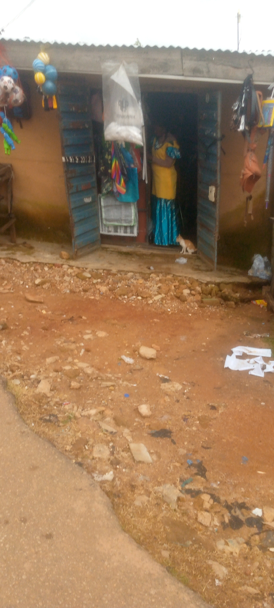 The image shows a small shop front with a corrugated metal roof. The shop is open, revealing a woman in a yellow top and a blue and green patterned skirt standing inside. She appears to be interacting with something out of frame to her left. To the right of the woman, a small orange and white cat is sitting on the ground, looking towards the woman. The shop is decorated with various items hanging from the entrance, including balloons and colorful fabrics. The ground in front of the shop is unpaved and appears to be a dirt and gravel surface with some scattered debris. A paved surface, possibly a road or sidewalk, is visible in the lower left corner of the image. The overall impression is of a busy, somewhat cluttered marketplace.