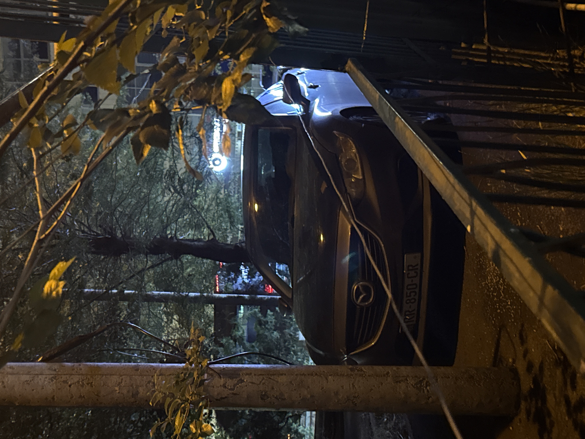 The image depicts a nighttime scene in Tbilisi, Georgia. A dark-colored Mazda sedan is parked on the street, partially obscured by branches and foliage. The car's license plate is visible and reads "RR-850-CR". A concrete utility pole stands to the left of the vehicle. In the background, trees and buildings are visible, with some illuminated signage. The lighting suggests an urban environment at night.