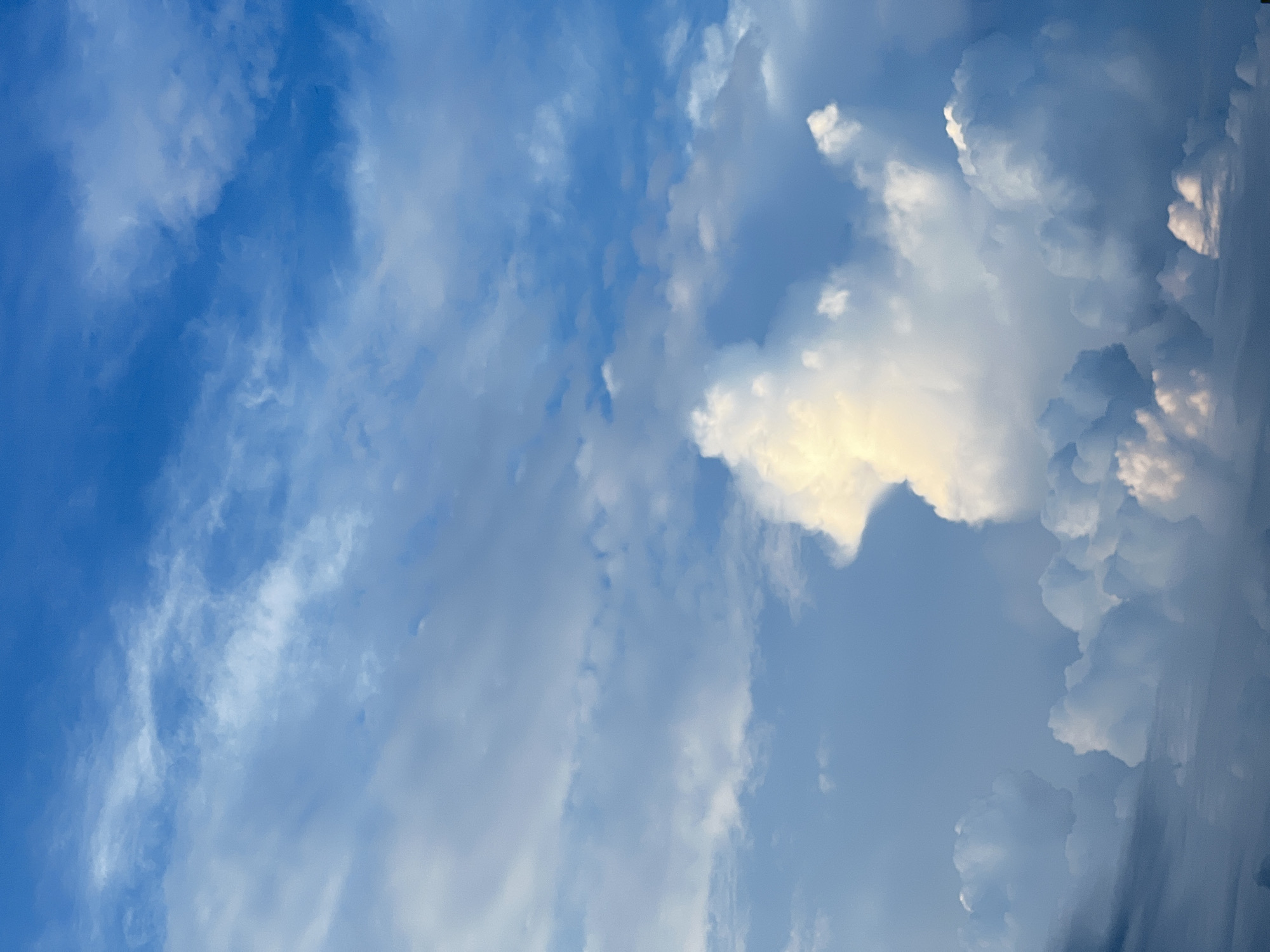 The image depicts a vibrant sky filled with a variety of clouds. The dominant colors are various shades of blue and white, ranging from a deep, clear blue at the top to lighter, hazy blues and bright white masses of clouds. One particularly prominent cumulus cloud in the center-right of the image is illuminated by sunlight, giving it a golden hue, and has a distinct shape that could be interpreted as an animal's head. Other clouds are scattered throughout the frame, some appearing wispy and thin, while others are large, puffy, and dense. The overall impression is of a dynamic and visually rich sky, possibly taken during late afternoon or early evening, given the lighting. There are no people, structures, or any other discernible objects or elements within the frame, only the expansive sky and its formations.