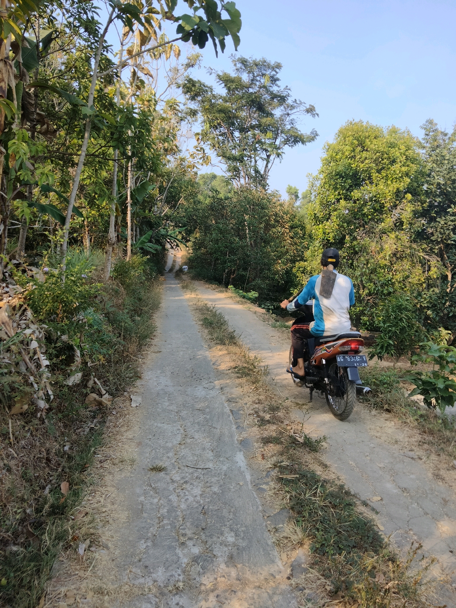 A person is riding a motorcycle down a dirt road bordered by lush green trees and vegetation. The road is unpaved and appears to be a path through a rural or wooded area. The person on the motorcycle is wearing a blue and white shirt, dark pants, and a black cap. They have a flat object, possibly a tool, strapped to their back. The sky is clear and blue. The license plate of the motorcycle is visible and reads "AG 6346 V". The scene is set in the city of Sidorejo, Indonesia.