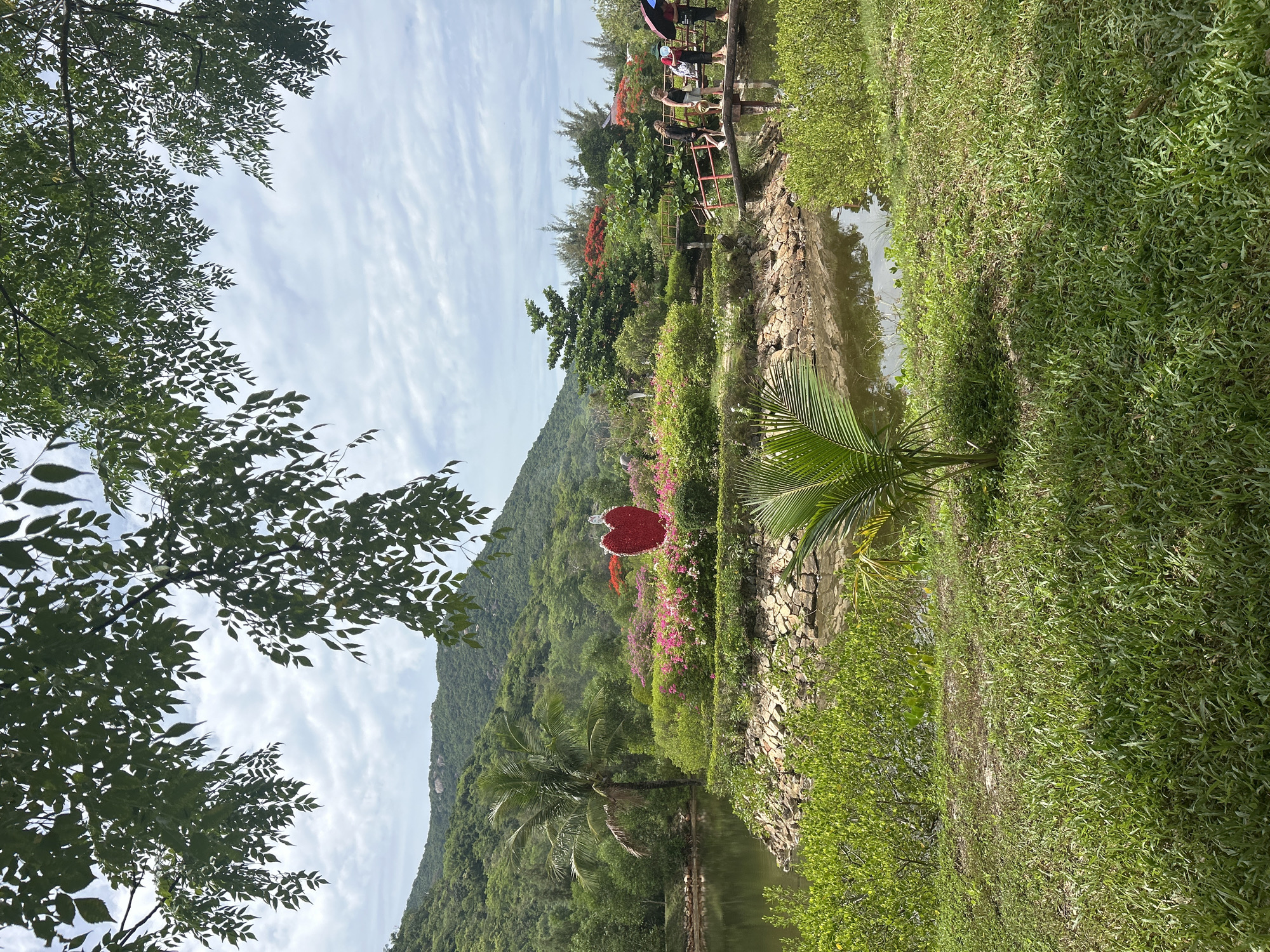 This is a medium shot image captured on a bright, overcast day, likely at the Bau Trang tourist area in Hoa Thang, Vietnam. The foreground is dominated by a lush, green lawn with a small palm sapling in the center. Beyond the lawn, a calm body of water reflects the surrounding greenery and sky. A stone-lined island in the water is adorned with vibrant pink and red flowers and a large, red, heart-shaped sculpture. A wooden bridge, supported by red railings, spans the water, leading to the island. Four individuals are visible on the bridge; one person on the left, and three people to the right, with one of them holding a multicolored umbrella. In the background, a dense, verdant forest covers rolling hills that stretch towards the horizon. The sky is filled with scattered white clouds, hinting at a potential break in the weather.