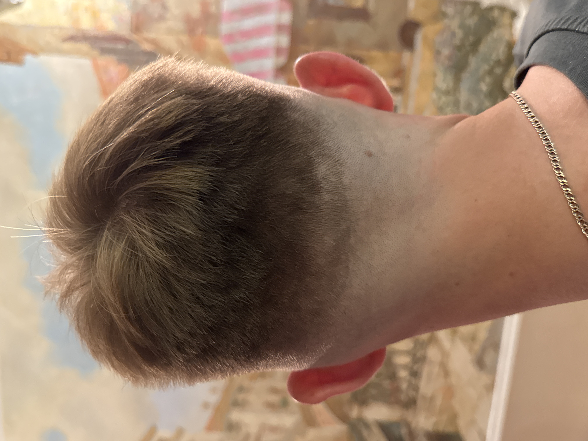 The image captures a detailed rear view of a person's head and neck, located in the city of Unknown, Russia. The individual has light brown hair on the crown, styled with a distinct fade haircut that transitions smoothly from longer hair on top to a very short, almost shaved length on the sides and back of the head. Both ears are visible and appear reddish in tone. The neck is fair-skinned with a few small, dark moles. A thin, gold-colored chain necklace is worn around the base of the neck, resting just above the collar of a dark grey or black garment. The background, which is out of focus, depicts a painted or mural scene of an old-world town, featuring architectural elements and patches of blue sky, with a prominent pink and white striped structure visible on the right side.