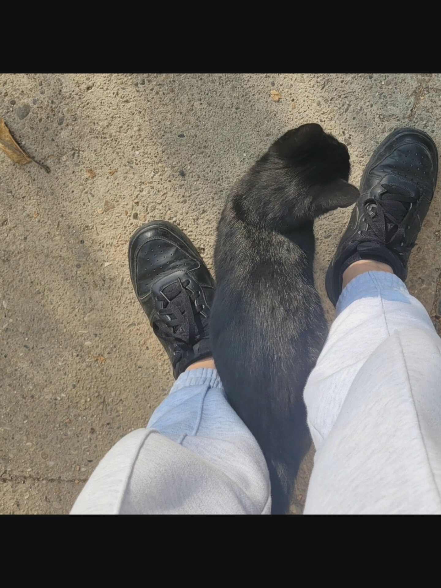 In Bielawska Wieś, Poland, a black cat sits on a concrete surface between two people's legs. The people are wearing black sneakers and light-colored sweatpants. One person's left foot is visible, and the other person's right leg and foot are partially obscured by the cat. A single fallen leaf rests on the concrete to the left of the cat. The scene is illuminated by natural light, casting shadows on the ground.