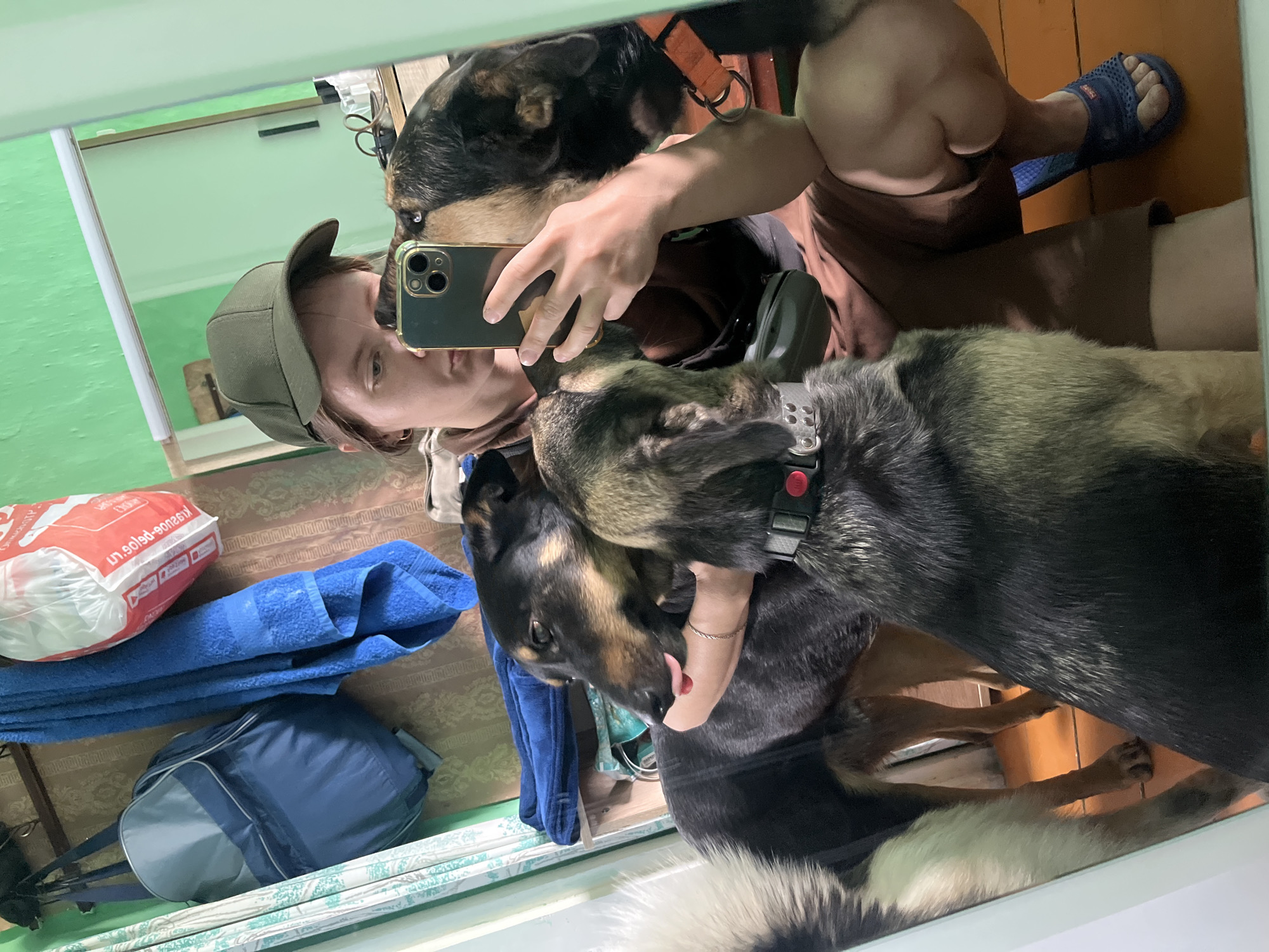 A young adult is taking a selfie in a mirror, surrounded by two German Shepherd-type dogs. The individual is wearing a brown cap and holding an iPhone. One dog is nuzzling the person's face, while the other is licking their arm. The person is wearing brown shorts and blue sandals. Behind them, a blue towel and backpack are visible. There's a red and white package and the background features the wooden floor and patterned bed cover. The location cannot be verified with the information provided in the image.
