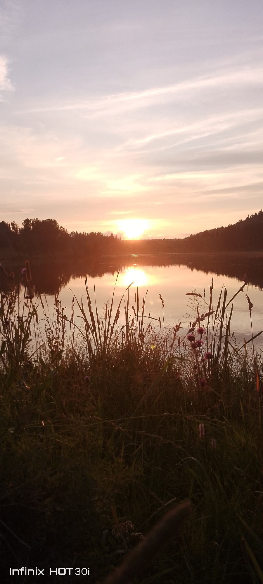 The image shows a tranquil lake at sunset, with the sky painted in soft hues of orange and pink. The sun is low on the horizon, casting a warm glow across the water's surface, and its reflection shimmers on the lake. Tall grasses and wildflowers line the foreground, their silhouettes sharp against the luminous sky and water. Behind the lake, a dense forest forms a dark silhouette against the fading light. The scene evokes a sense of peace and natural beauty. This image was captured in Kedrovy, Russia.