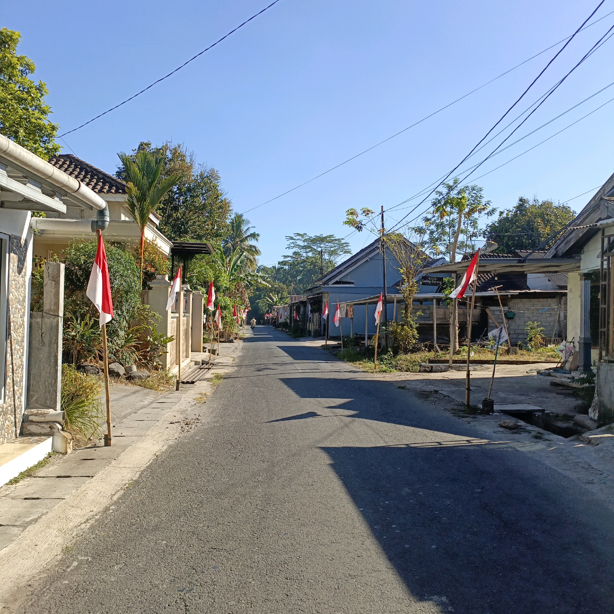 The image depicts a residential street in Salatiga, Indonesia, lined with houses and lush greenery under a clear blue sky. Indonesian flags are prominently displayed along the roadside, indicating a patriotic or celebratory occasion. The street is paved and appears to be moderately trafficked, with a motorcycle visible in the distance. The architecture of the houses is varied, suggesting a mix of traditional and modern styles. Sunlight casts long shadows across the road, suggesting it is either early morning or late afternoon. The overall atmosphere is serene and typical of a day in a residential neighborhood in Indonesia.