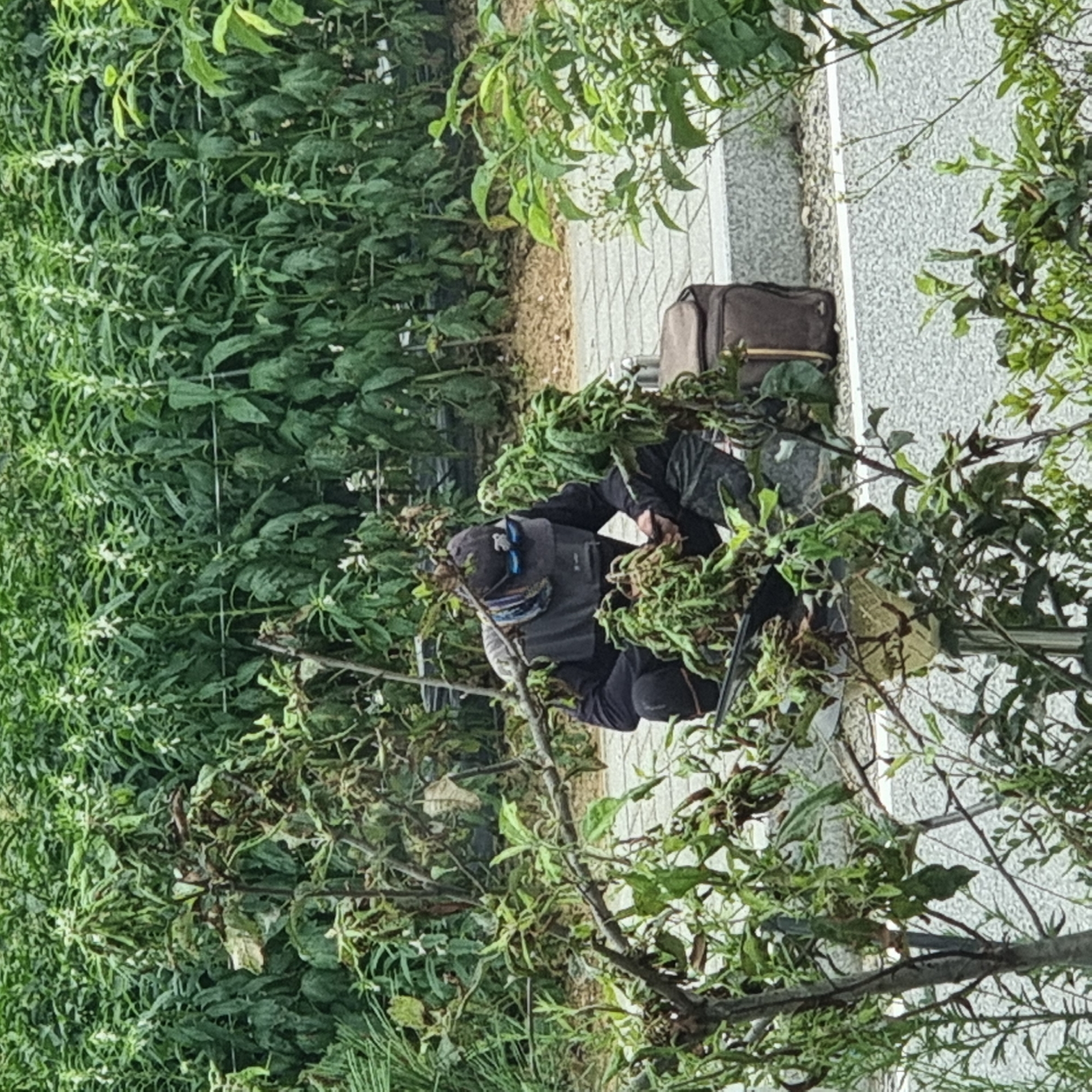 The image depicts a person squatting in a garden or public green space, surrounded by dense foliage. The person is wearing a dark hooded jacket, a baseball cap with sunglasses perched on top, and dark pants. They appear to be engaged in some activity involving the plants in front of them. To the right of the person, a brown bag is visible, resting on a paved surface that appears to be a sidewalk or path. The background consists of tall green plants with small white flowers, suggesting a cultivated area. The overall scene is an outdoor environment, possibly a park or a garden area within Dunnae-myeon, South Korea, characterized by lush vegetation and urban infrastructure elements.