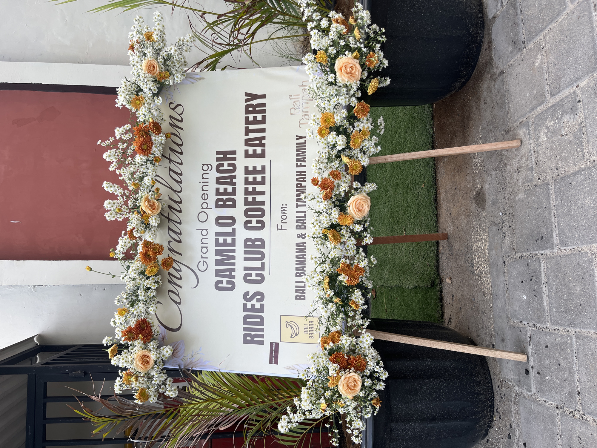 A grand opening sign for "Camelot Beach Rides Club Coffee Eatery" is displayed outdoors, decorated with abundant white, orange, and yellow flowers, along with a few light peach roses. The sign itself is large and white, with dark brown text. The top line reads "Congratulations" in a cursive font. Below this, in block letters, it says "Grand Opening" followed by the establishment's name. Underneath the name, it states "From:" and then lists "BALI BANANA & BALI TAMPAH FAMILY". A small logo featuring a banana and the text "BALI BANANA" is visible on the left side of the sign. The sign is supported by two wooden legs. The background consists of a building with a reddish-brown section and a lighter colored wall, a black metal gate to the left, and lush green artificial turf. Two large black planters, filled with tropical plants and more flowers, flank the sign. The ground is paved with grey interlocking bricks. The scene is set in Kuta, Indonesia, likely at the entrance to the establishment. There are no people visible in the image.