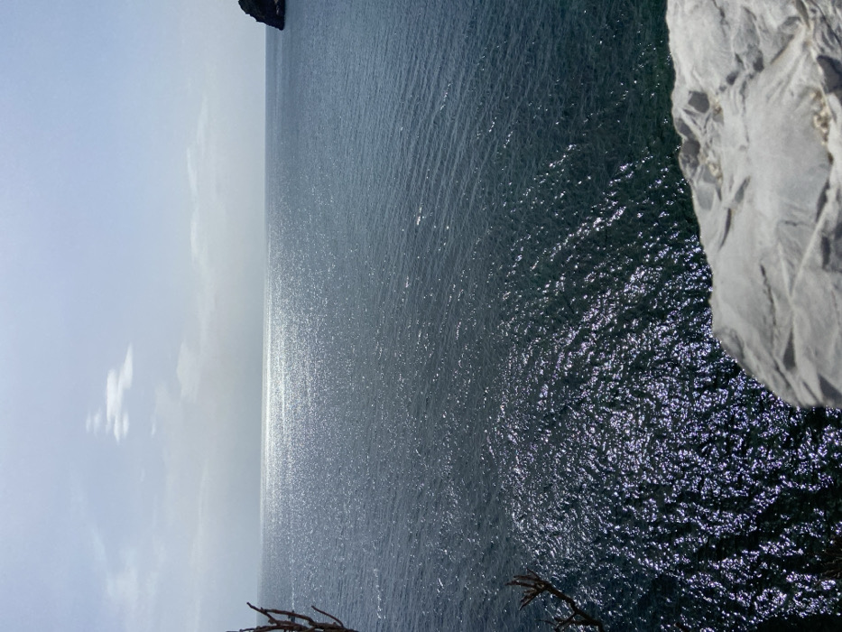 The image displays an expansive view of a body of water, likely a sea or ocean, under a bright sky. The vantage point is elevated, looking down and out over the water.
In the foreground, a large, light grey, rocky surface occupies the bottom right corner, out of focus. To the far left, a portion of a dark, multi-branched, leafless plant or tree is visible, also out of focus.
The dominant midground and background consist of the water and sky. The water is dark blue-green, with its surface actively reflecting sunlight, creating numerous bright, shimmering points that form a distinct horizontal glare across the horizon line. A small, dark, rocky landmass or island is partially visible protruding from the water on the far right side of the frame. The sky above is a light blue with scattered, diffuse white clouds. No people, vessels, or distinct actions are visible. The environment suggests a coastal or open marine setting during daylight hours.
The location is Unknown, Unknown.