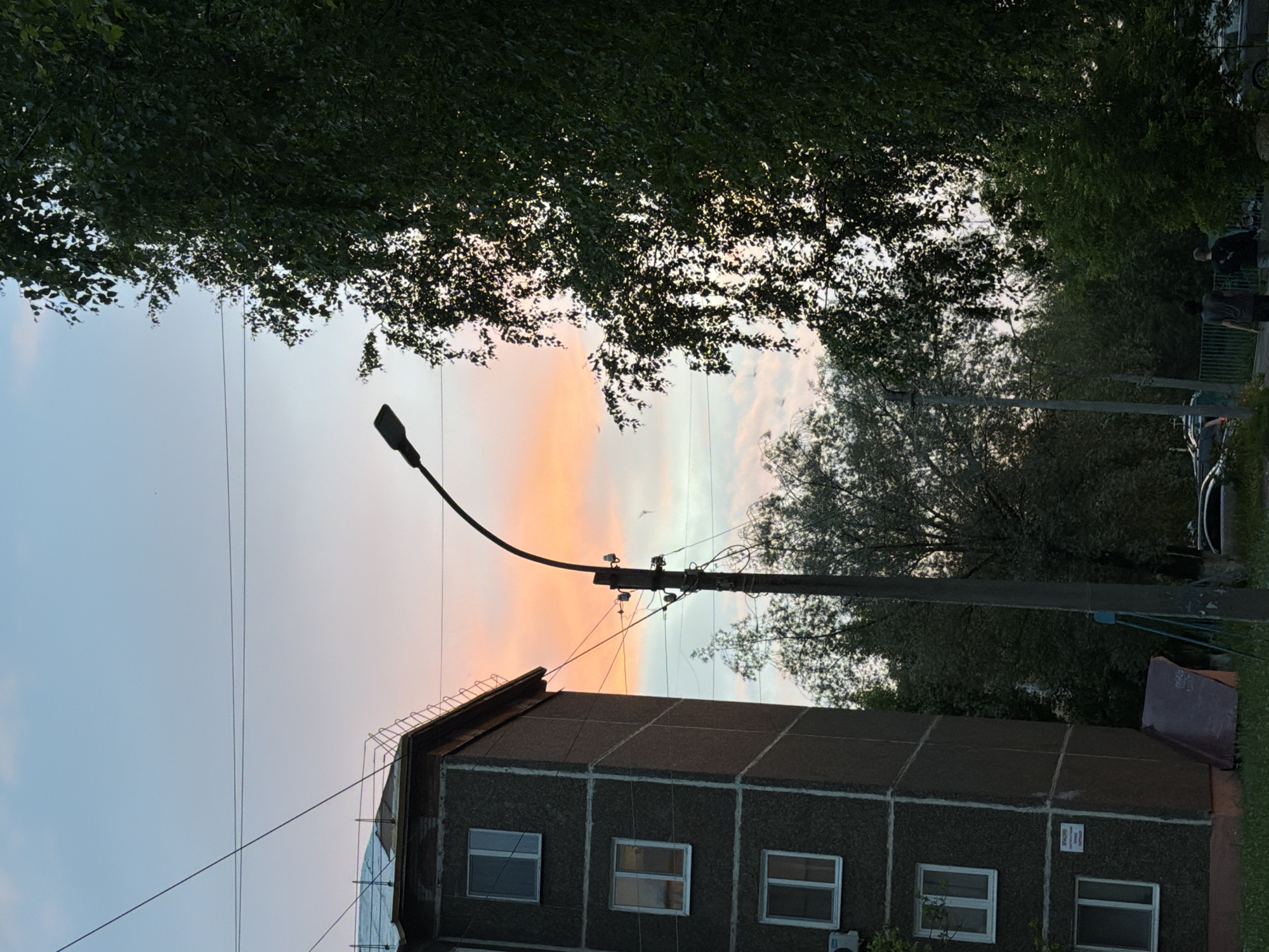 The image depicts an urban scene in Solikamsk, Russia, under a twilight sky painted with hues of pink, orange, and blue. On the left, a multi-story, dark-colored apartment building with visible white-framed windows is prominent. A utility pole with a curved streetlamp stands in the middle ground, adorned with insulators and wires. Dense green foliage from a large tree with intricate leaf patterns dominates the right side of the frame, partially obscuring the sky. In the background, more trees and a glimpse of parked cars suggest a residential area. Two individuals, appearing to be male, walk away from the camera on a paved pathway. The overall atmosphere is one of a quiet evening in a Russian city.