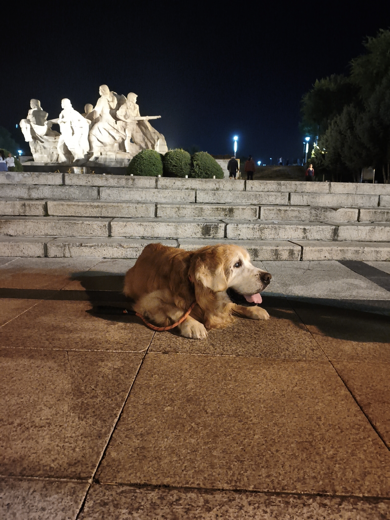 A golden retriever lies on the stone pavement in front of a large, multi-tiered stone staircase at night. The dog is wearing an orange leash and is facing to the right with its tongue hanging out. Behind the staircase, a large white sculpture depicting several human figures in motion is illuminated. In the background, there are trees, lampposts, and several indistinct figures of people walking or standing. The sky is dark, indicating nighttime. The scene appears to be a public space, possibly a park or monument in Xi'an, China.