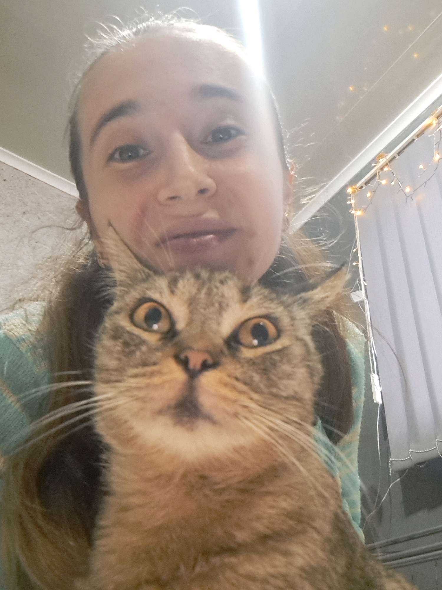 A close-up, selfie-style photograph shows a person and a cat. The person's face is partially visible at the top of the frame, with their eyes looking towards the camera. Their hair is pulled back, and the lighting creates a glare on their forehead.
Dominating the foreground is the face of a tabby cat. The cat's eyes are wide open, with large, round pupils, giving it a surprised or alert expression. Its ears are pointed forward, and its whiskers are prominent. The cat is positioned very close to the camera, obscuring much of the person behind it. The cat appears to be wearing a collar, possibly with a tag.
The background is softly blurred but suggests an indoor setting. To the right, there is a window with blinds and a string of decorative lights, some of which are illuminated with a warm glow. The wall behind the person and cat appears to be textured. The overall lighting suggests it is indoors, possibly at night, with artificial light sources. There is no indication of the city of Vypasne, Ukraine, in the image.