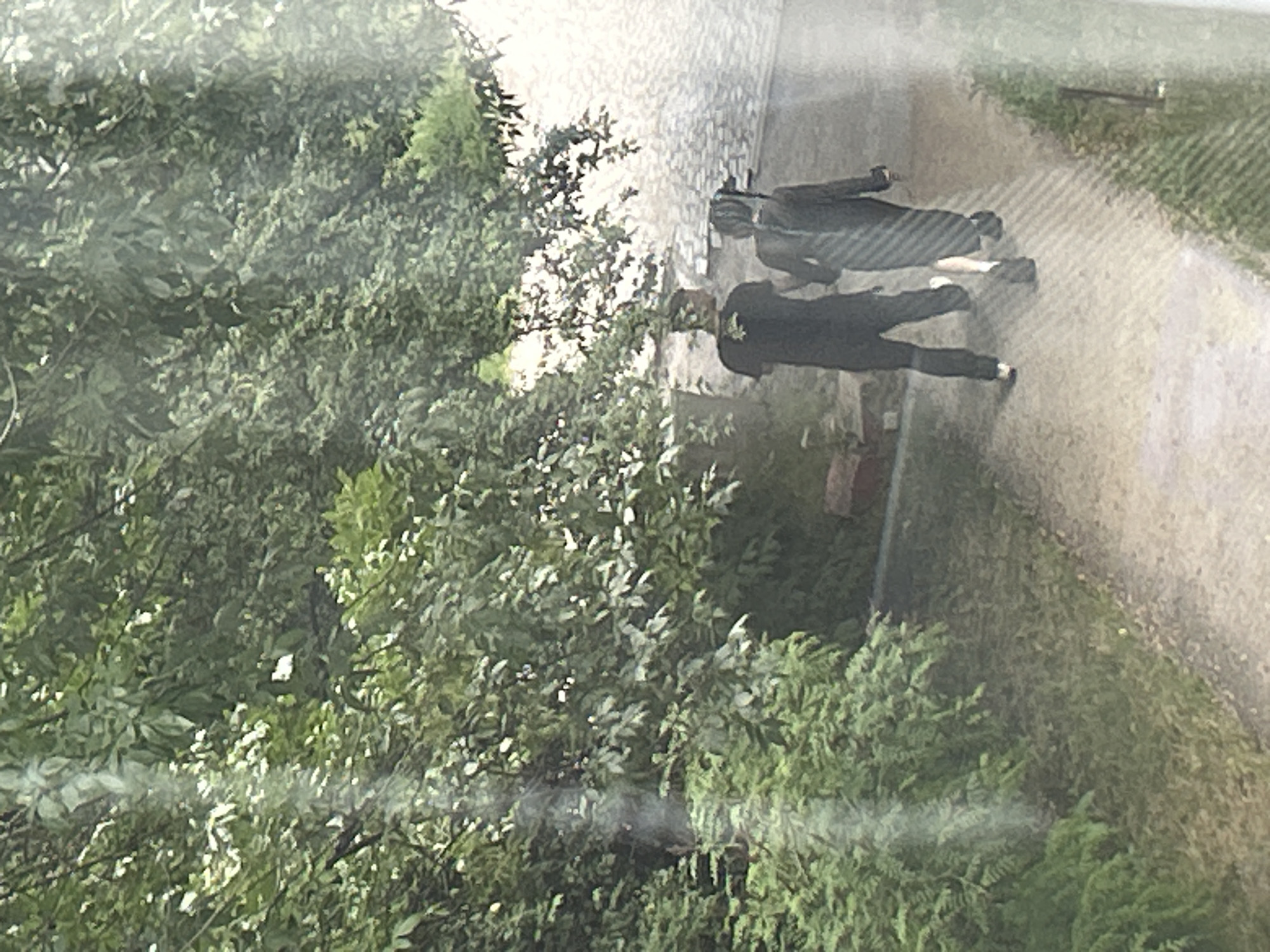 The image captures an outdoor scene in Sofia, Bulgaria, viewed from an elevated perspective overlooking a pathway. Two individuals are depicted walking on a dirt or gravel path, moving from the foreground towards the upper right background.
The first individual, positioned on the left, appears male, dressed in a dark short-sleeved t-shirt with a light emblem on the back, dark trousers, and light-colored athletic shoes. A dark cap or hat covers their head, and they are looking towards their left, away from the camera.
The second individual, located to the right and slightly behind the first, appears female, wearing a dark, long-sleeved garment extending below the knee, and dark shoes. Dark hair, styled in braids or dreadlocks, is visible down her back. She holds a small, dark object in her right hand.
The left side and upper portions of the frame are dominated by dense green foliage, consisting of various trees and bushes. To the right of the pathway in the background, a light-colored, textured wall or structure is visible. The scene is illuminated by natural daylight. A vertical, translucent light streak or reflection partially obscures the foliage on the far left.