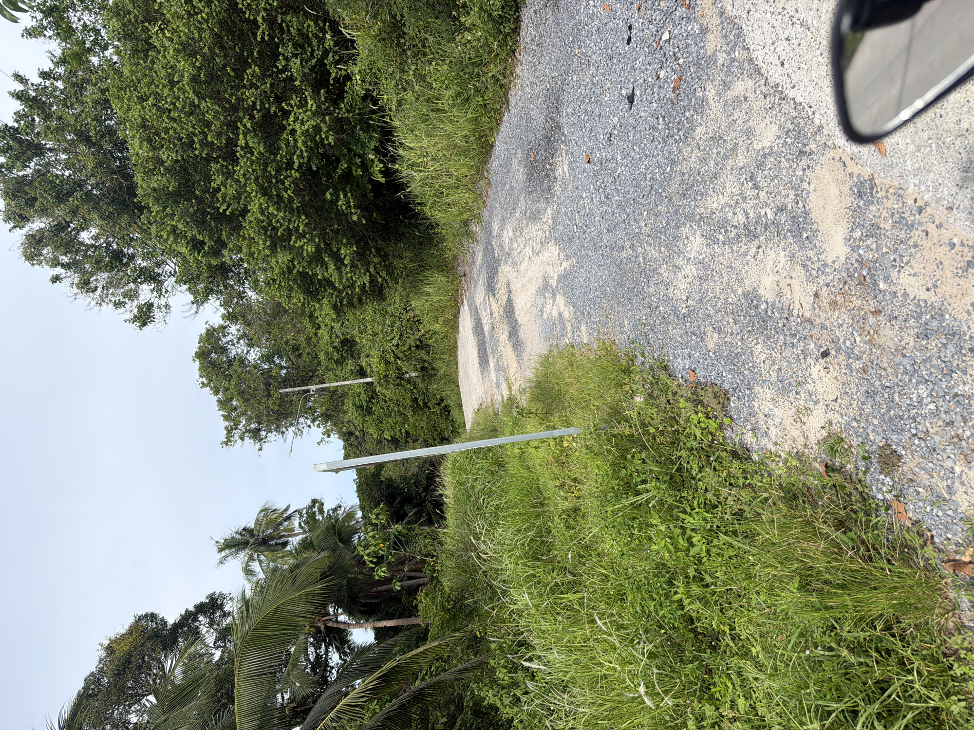 The image depicts a dirt road curving through a lush, tropical environment. Tall green trees and palm trees line the sides of the road, with thick green grass and foliage growing densely along the edges. A thin, silver pole stands vertically on the left side of the road, amidst the grass. The sky is overcast with a pale blue hue. In the lower right corner, a portion of a motorcycle's side mirror is visible, suggesting the photograph was taken from a moving vehicle. The scene is consistent with a rural or less developed area, possibly a pathway leading to a secluded location. The environment suggests a warm, humid climate. Given the description of Baan Mae Nam, Thailand, this scene could represent a typical road within the area, characterized by its natural beauty and tropical vegetation.