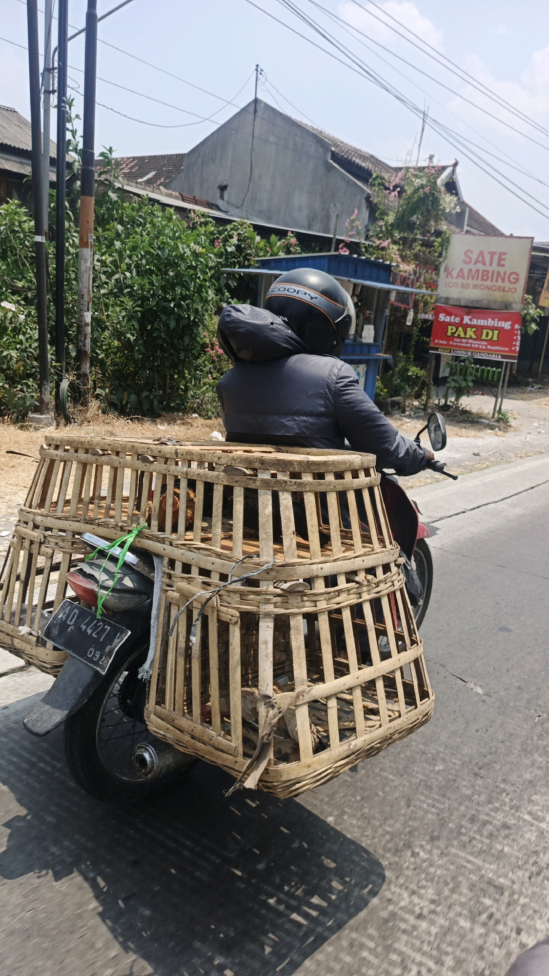 A person wearing a black helmet and a dark jacket rides a motorcycle in Selokaton, Indonesia, carrying two large woven bamboo cages on the back. The cages, stacked one on top of the other, contain chickens. A red taillight and a license plate with the number "AD 4427 Y 09 26" are visible on the back of the motorcycle. The motorcycle is on a paved road, with lush green foliage and buildings in the background. A sign for "Sate Kambing Pak Di" is also visible. The lighting suggests it is a sunny day, casting a strong shadow on the road.