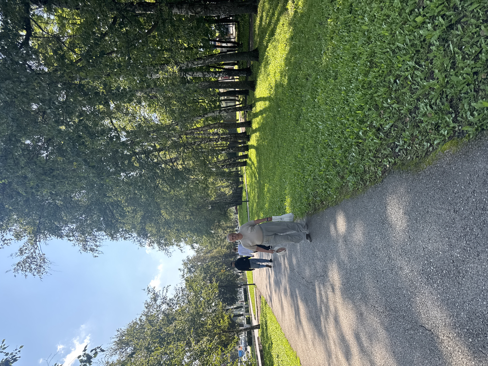 The image depicts a park scene on a sunny day, with a paved path curving through a grassy area bordered by a line of birch trees. Several people are walking on the path. In the foreground, an elderly man wearing a light-colored t-shirt and grey pants walks towards the camera, carrying a white plastic bag in his right hand and a white cap in his left. Behind him, a younger man in a black hoodie and jeans walks away from the camera, followed by another person in a white shirt. Further down the path, more individuals are visible, and on the left side of the path, there is a lawn with scattered trees and some urban elements in the distance, suggesting this location is within the city of Ufa, Russia. The sun casts long shadows across the path and grass from the trees.