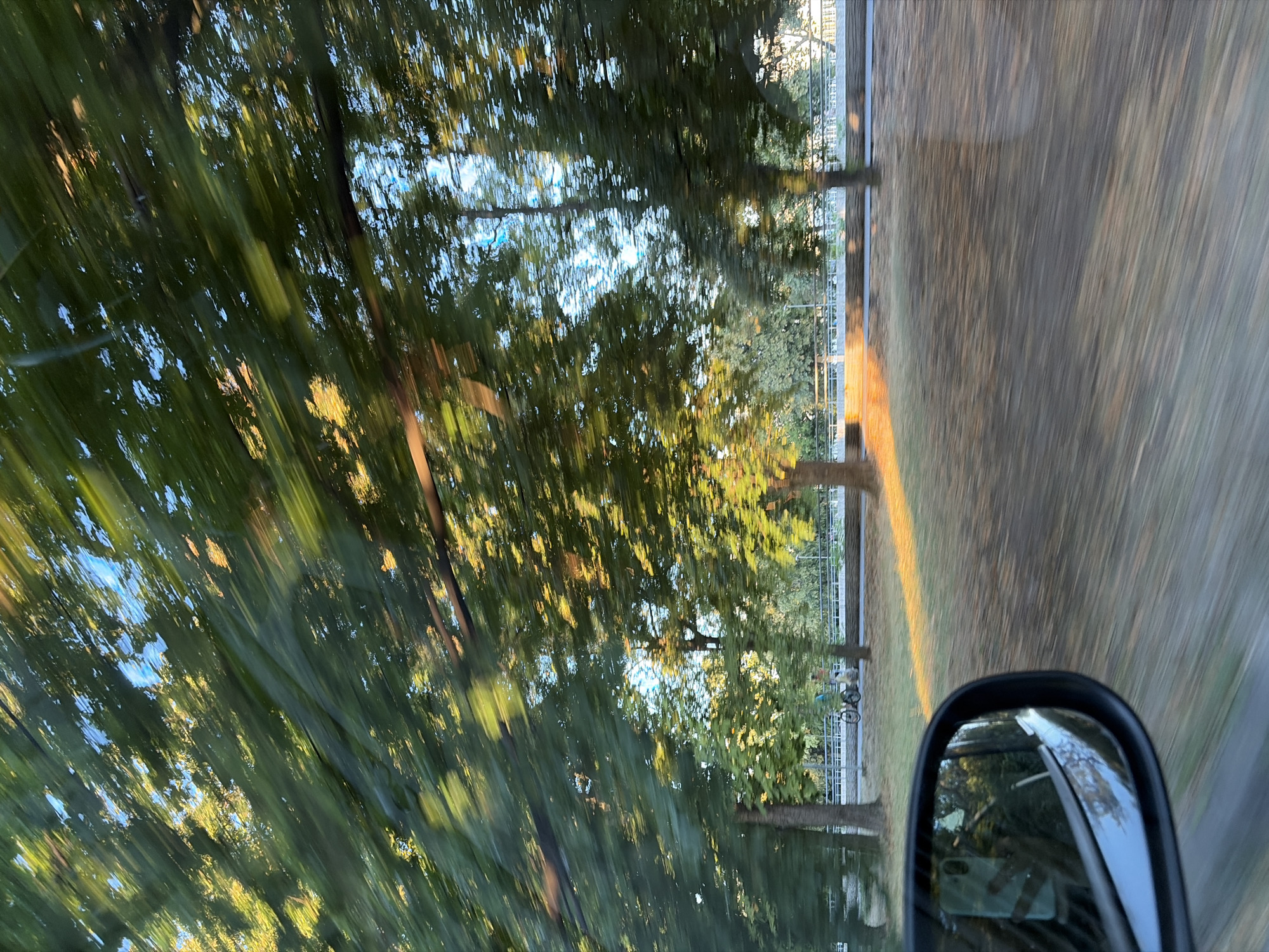 The image captures a view from a moving vehicle, likely a car, looking towards a tree-lined avenue. The motion blur is evident throughout the scene, particularly in the foliage of the trees, suggesting a relatively high speed. The sun is low in the sky, casting long shadows and illuminating the scene with golden light, indicating either sunrise or sunset.
In the foreground, a car's side mirror is visible on the left. Inside the mirror's reflection, a person holding a light blue smartphone can be seen. The background shows more trees, a pathway or road, and a bridge or elevated structure with a white railing. A bicycle is parked near one of the trees in the middle ground, and two figures, possibly people, are faintly visible standing near it. The ground is covered with dry leaves and grass, further suggesting an autumnal or late summer setting.
While the image does not explicitly show landmarks or specific street names that would definitively pinpoint the location within Nitra, Slovakia, the presence of mature trees lining a public thoroughfare, a pathway for pedestrians or cyclists, and an elevated structure are common features of urban and suburban environments. The overall atmosphere is serene and hints at a pleasant outdoor scene, despite the motion blur.