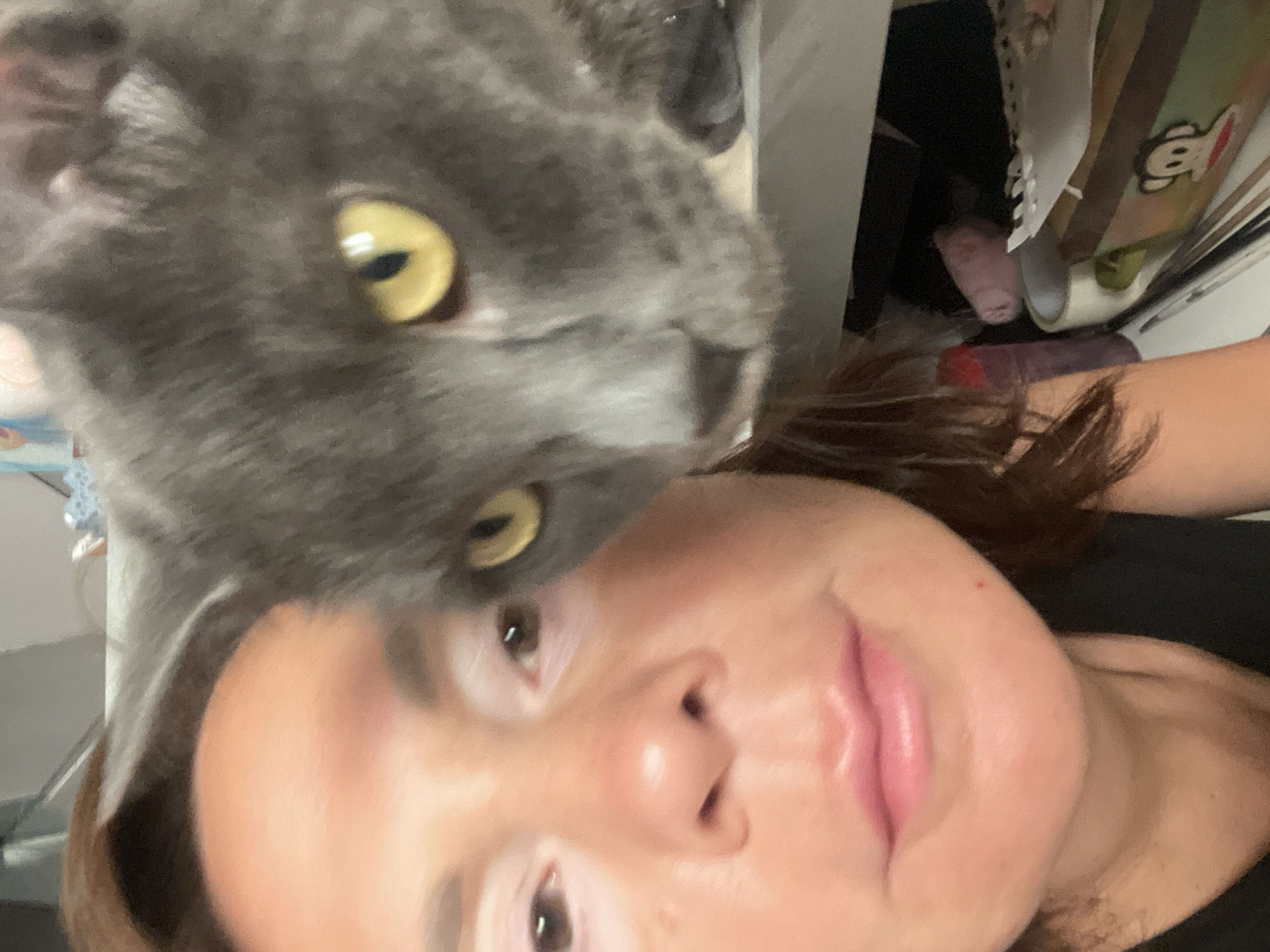 The image is a close-up selfie of a woman with a grey cat. The woman is on the left side of the frame, and the cat is on the right, with its face close to the woman's face. The woman has brown hair and appears to be wearing a black tank top. Her skin is light-toned with some pinkish undertones. The cat is grey with striking yellow eyes. The background is blurred, but it appears to be an indoor setting with shelves and some objects, including what looks like a mug with a cartoon monkey on it. The lighting suggests it may be indoors. There is no indication of the city of Sochi, Russia, or any specific location.