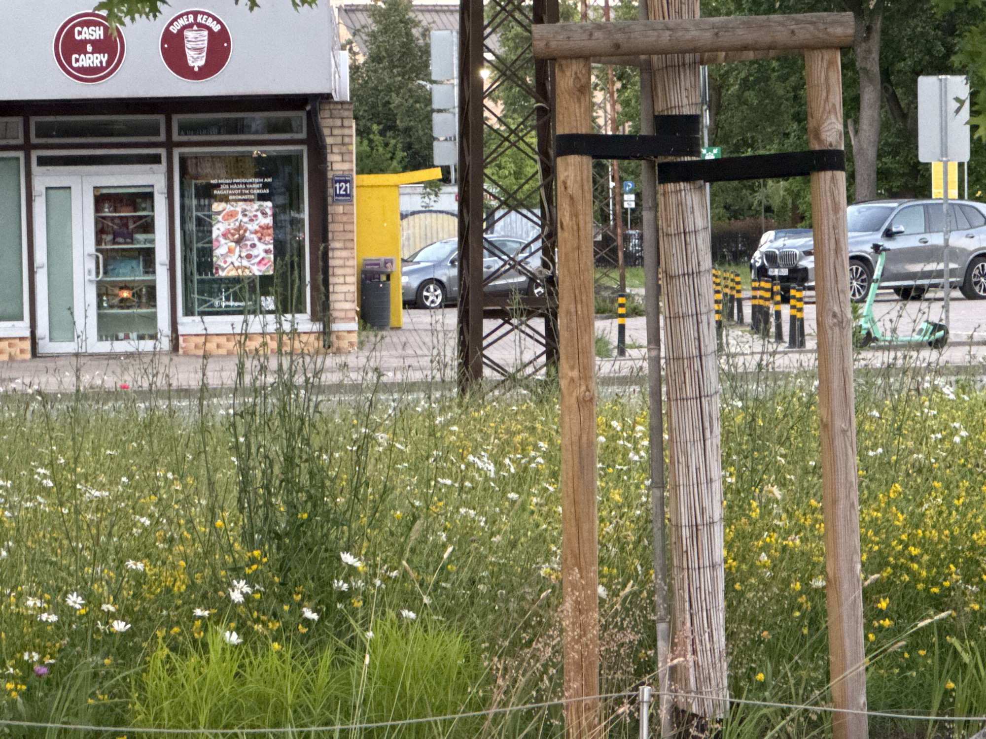 The image depicts a street scene in Riga, Latvia, featuring a commercial establishment with prominent signage for "CASH & CARRY" and "DONER KEBAB". The building has large glass windows displaying food items and other products. Adjacent to the shop, a yellow structure with the number "121" is visible.
In the foreground, a lush field of wildflowers and tall green grass occupies the majority of the frame. Several wooden poles, possibly part of a tree support structure, are positioned in front of the field. These poles are bound with black straps.
In the background, several cars are parked along the street, including a silver SUV and a darker sedan. A green electric scooter is parked on the sidewalk. The environment suggests an urban setting with trees and street furniture visible. The overall lighting indicates daylight conditions. There are no people clearly visible in the image.