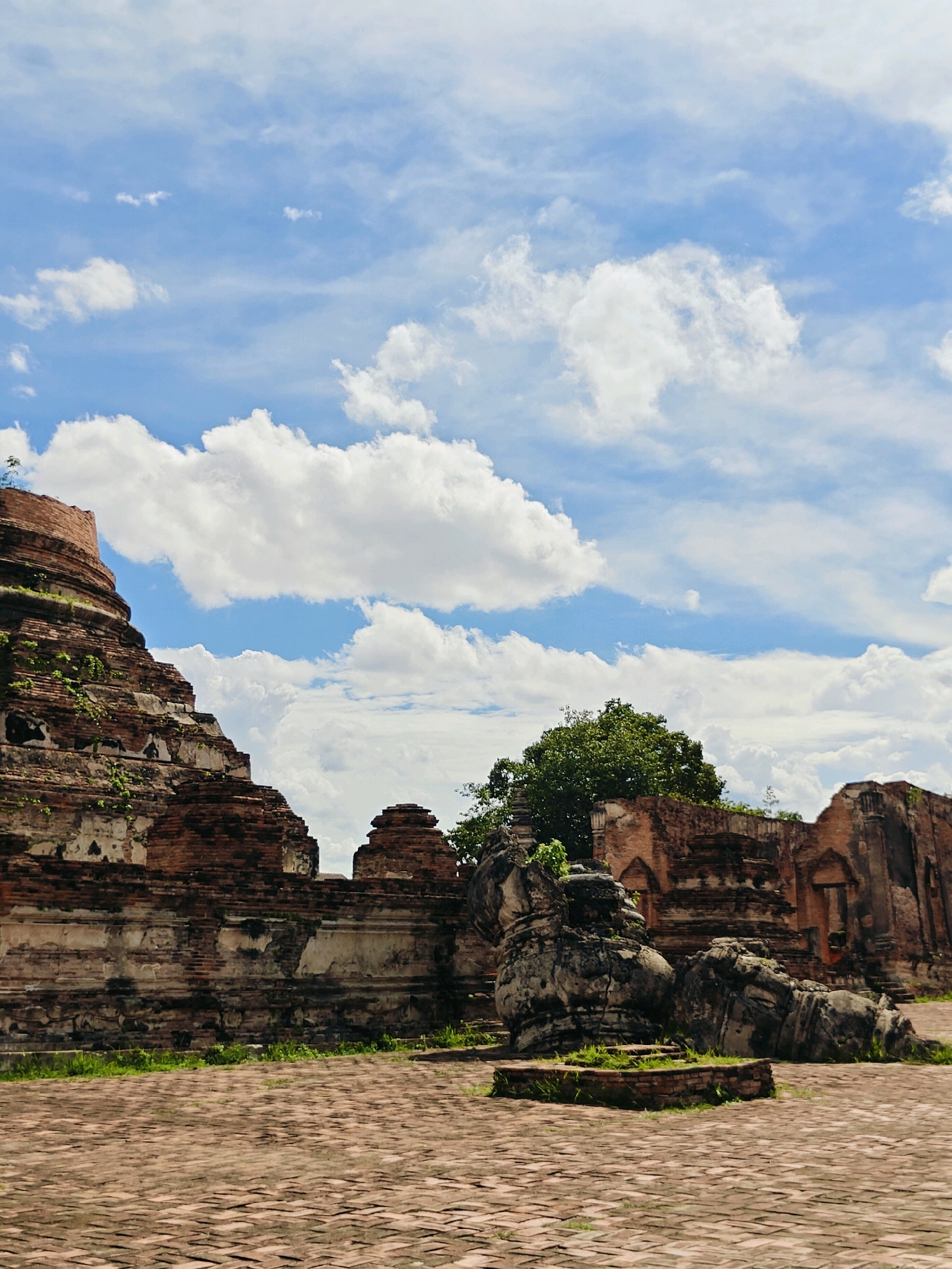 In Ayothaya Town Municipality, Thailand, a historic temple complex stands under a bright blue sky dotted with fluffy white clouds. The foreground is paved with weathered red bricks arranged in a herringbone pattern. To the left, the crumbling remains of a large brick stupa, partially overgrown with green vegetation, dominates the scene, its tiered structure showing signs of age and decay. In the middle ground, a large, weathered stone Buddha statue lies in repose, its form broken into several large pieces, resting on a bed of grass and surrounded by more brick structures. The background reveals more of the ancient temple ruins, characterized by their weathered brick walls and arched openings, with a lush green tree rising above the structures on the right. The overall impression is one of timeless grandeur and the serene passage of time.