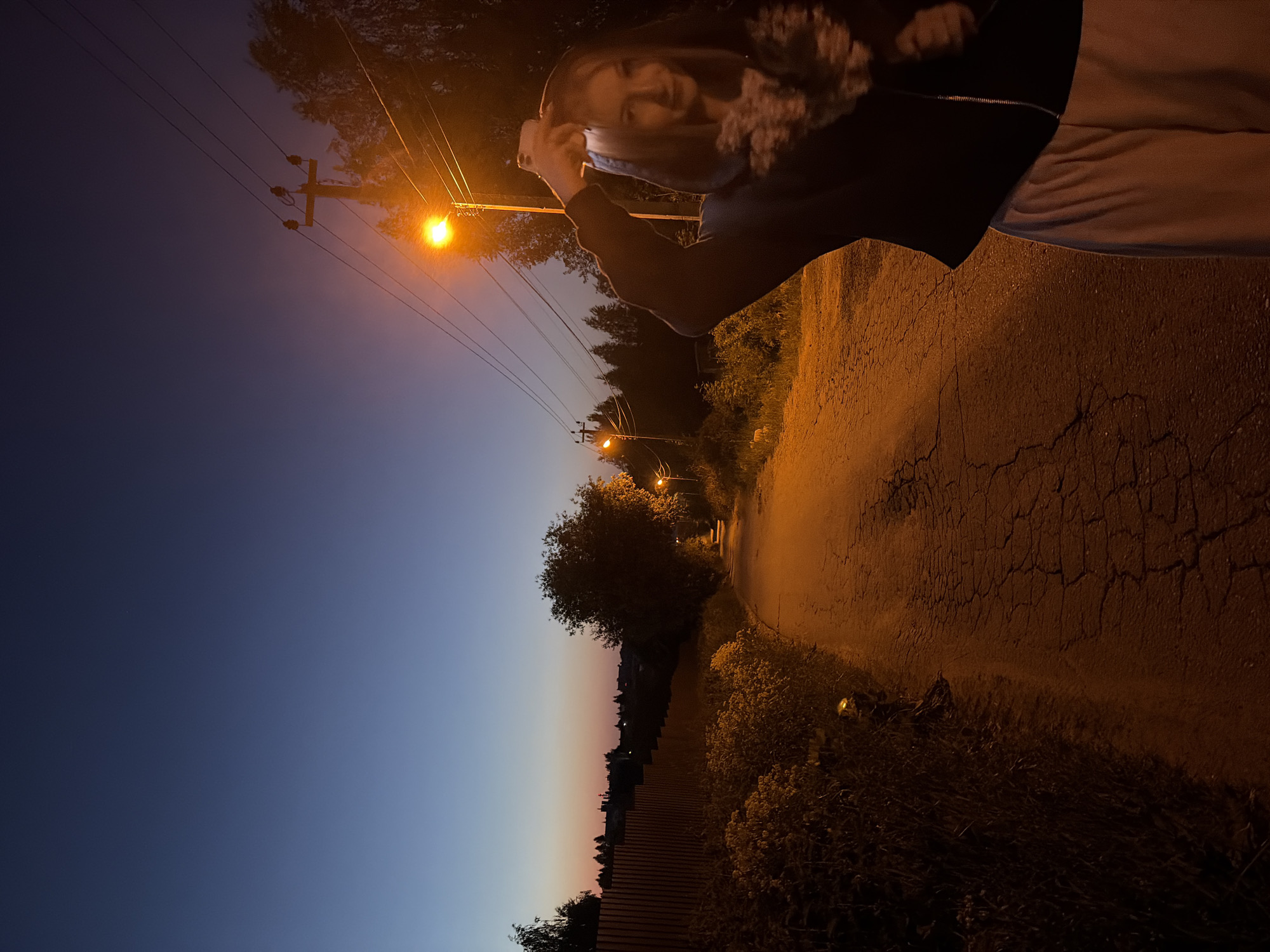 This image captures an unpaved road in Новинки, Russia, during twilight or early night. A young woman stands on the right side of the foreground, wearing a dark hooded jacket and light-colored trousers, holding a white smartphone overhead with her right hand, seemingly taking a selfie or recording. Her face is partially visible under the hood. The road surface exhibits extensive cracking. Three streetlights with orange illumination are visible along the road, one directly above the woman, casting warm light on the scene. Utility poles with overhead power lines are present on the right, along with trees and dense foliage. On the left, a wooden fence runs alongside the road, obscured in parts by overgrown vegetation. The sky transitions from deep blue overhead to a lighter, warmer hue near the distant horizon, where silhouettes of structures are faintly discernible.