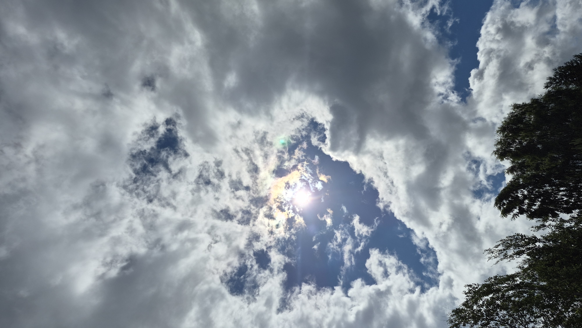 This is a vertical, medium-angle shot of a partly cloudy sky, with the sun shining brightly through a break in the clouds. The sun is near the center of the frame, radiating light in a way that creates a lens flare effect with rainbow hues. The clouds are a mix of bright white and darker gray, with some appearing wispy and others more dense. Below the sky, the tops of dark green trees are visible, their leaves appearing slightly blurred as if from wind or movement. The overall impression is of a dynamic sky on a possibly windy day. The location is Ļūbaste 0001, Latvia. There are no people or animals visible in the image.